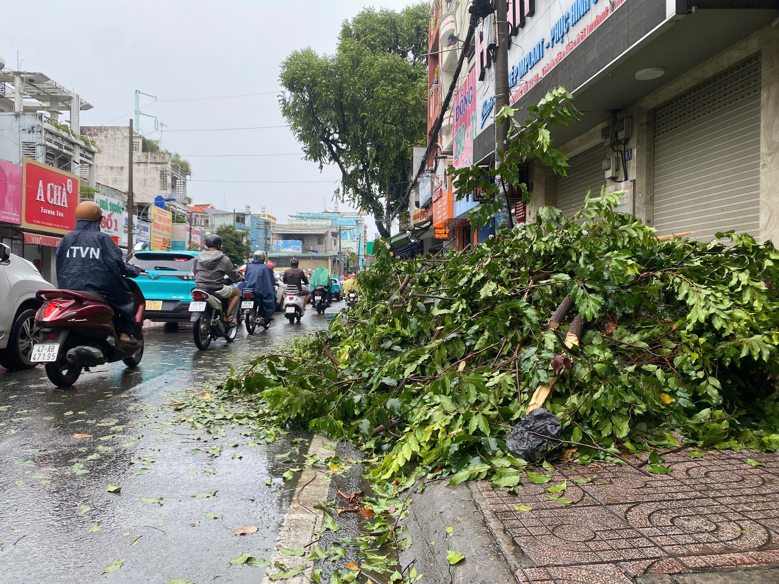 Gi&ocirc;ng lốc c&agrave;n qu&eacute;t TP.HCM: Nhiều căn nh&agrave; tốc m&aacute;i, c&acirc;y xanh, cột điện ng&atilde; đổ- Ảnh 11.