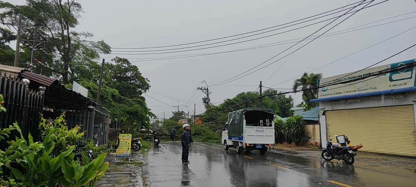 Gi&ocirc;ng lốc c&agrave;n qu&eacute;t TP.HCM: Nhiều căn nh&agrave; tốc m&aacute;i, c&acirc;y xanh, cột điện ng&atilde; đổ- Ảnh 9.
