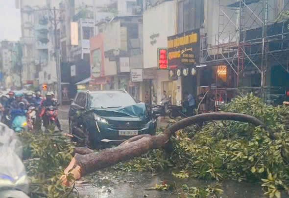 Gi&ocirc;ng lốc c&agrave;n qu&eacute;t TP.HCM: Nhiều căn nh&agrave; tốc m&aacute;i, c&acirc;y xanh, cột điện ng&atilde; đổ- Ảnh 3.