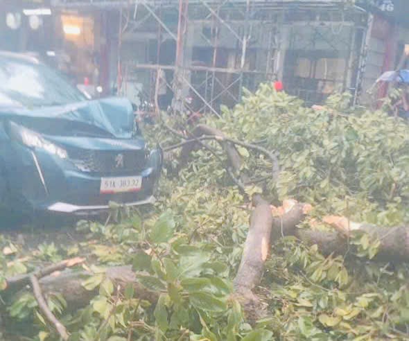 Gi&ocirc;ng lốc c&agrave;n qu&eacute;t TP.HCM: Nhiều căn nh&agrave; tốc m&aacute;i, c&acirc;y xanh, cột điện ng&atilde; đổ- Ảnh 2.