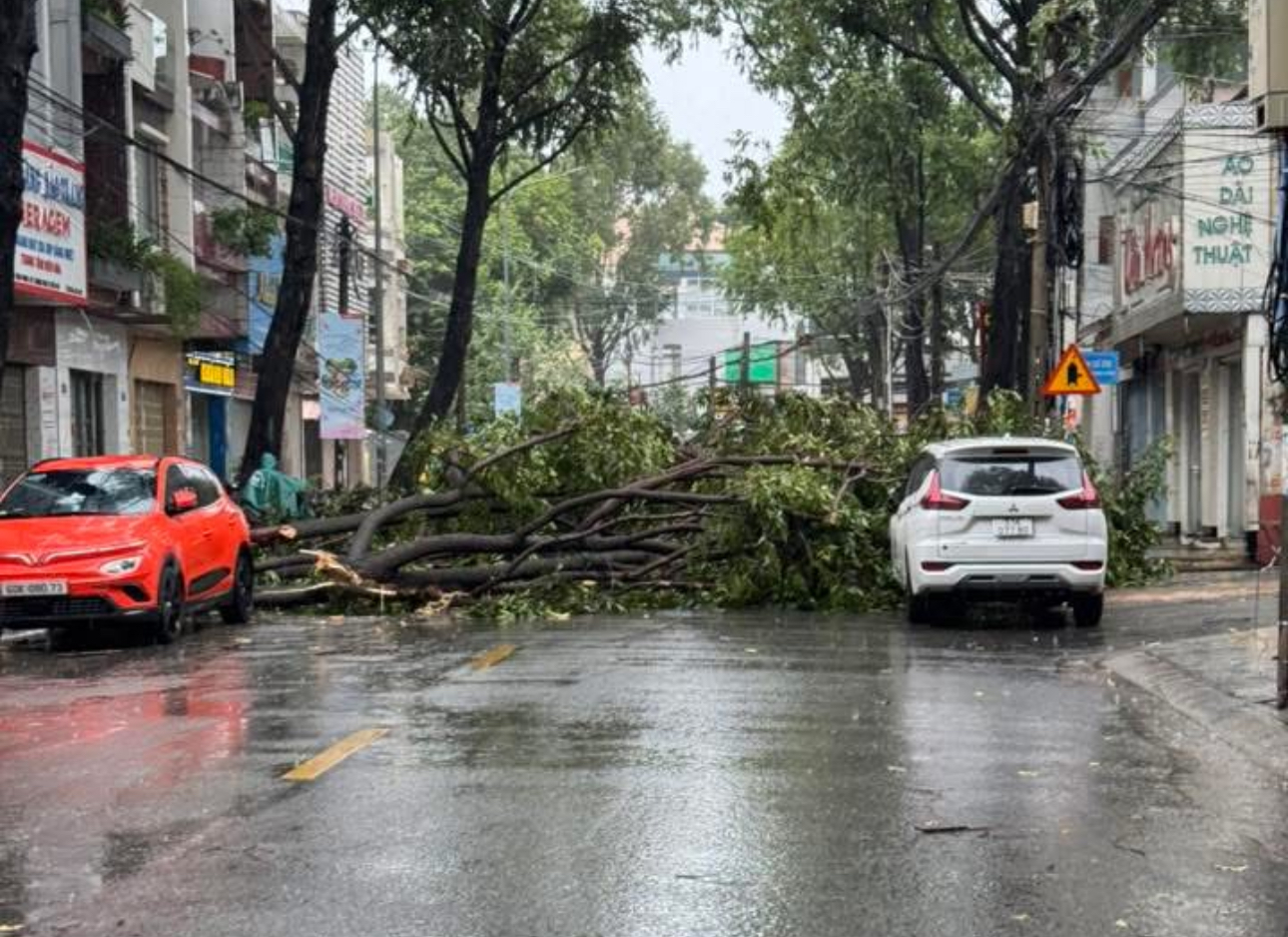 Đồng Nai: Nhiều nh&agrave; d&acirc;n bị tốc m&aacute;i, c&acirc;y đổ đầy đường sau mưa d&ocirc;ng- Ảnh 1.