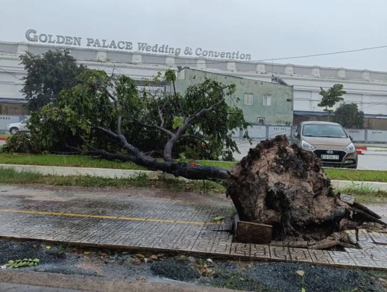 Đồng Nai: Nhiều nh&agrave; d&acirc;n bị tốc m&aacute;i, c&acirc;y đổ đầy đường sau mưa d&ocirc;ng- Ảnh 2.