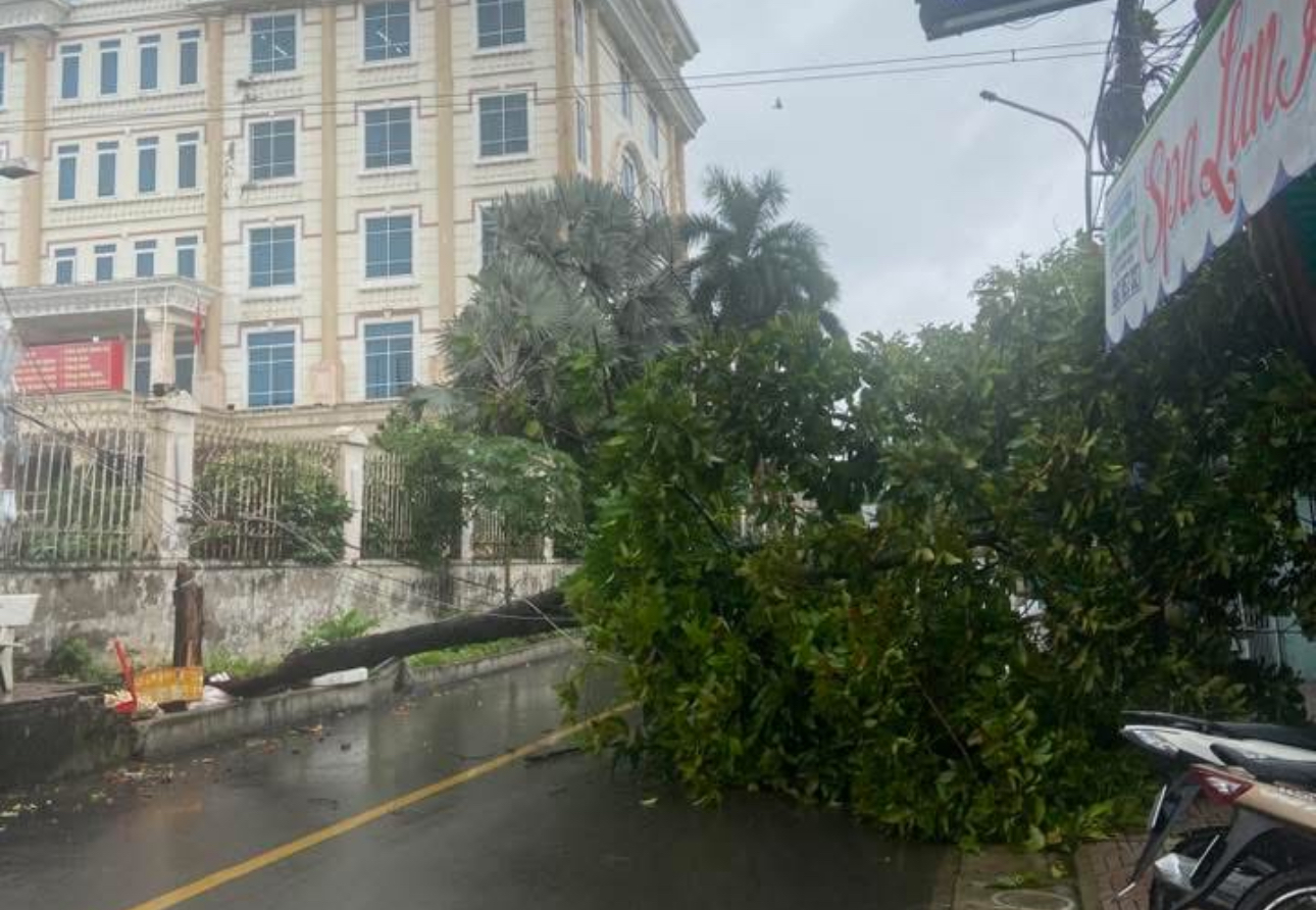 Đồng Nai: Nhiều nh&agrave; d&acirc;n bị tốc m&aacute;i, c&acirc;y đổ đầy đường sau mưa d&ocirc;ng- Ảnh 7.