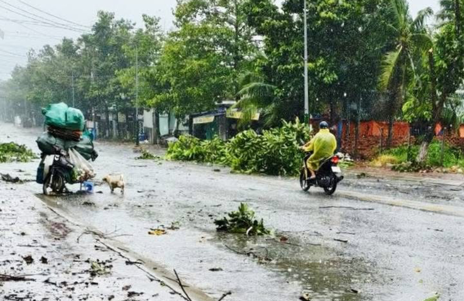 Đồng Nai: Nhiều nh&agrave; d&acirc;n bị tốc m&aacute;i, c&acirc;y đổ đầy đường sau mưa d&ocirc;ng- Ảnh 3.