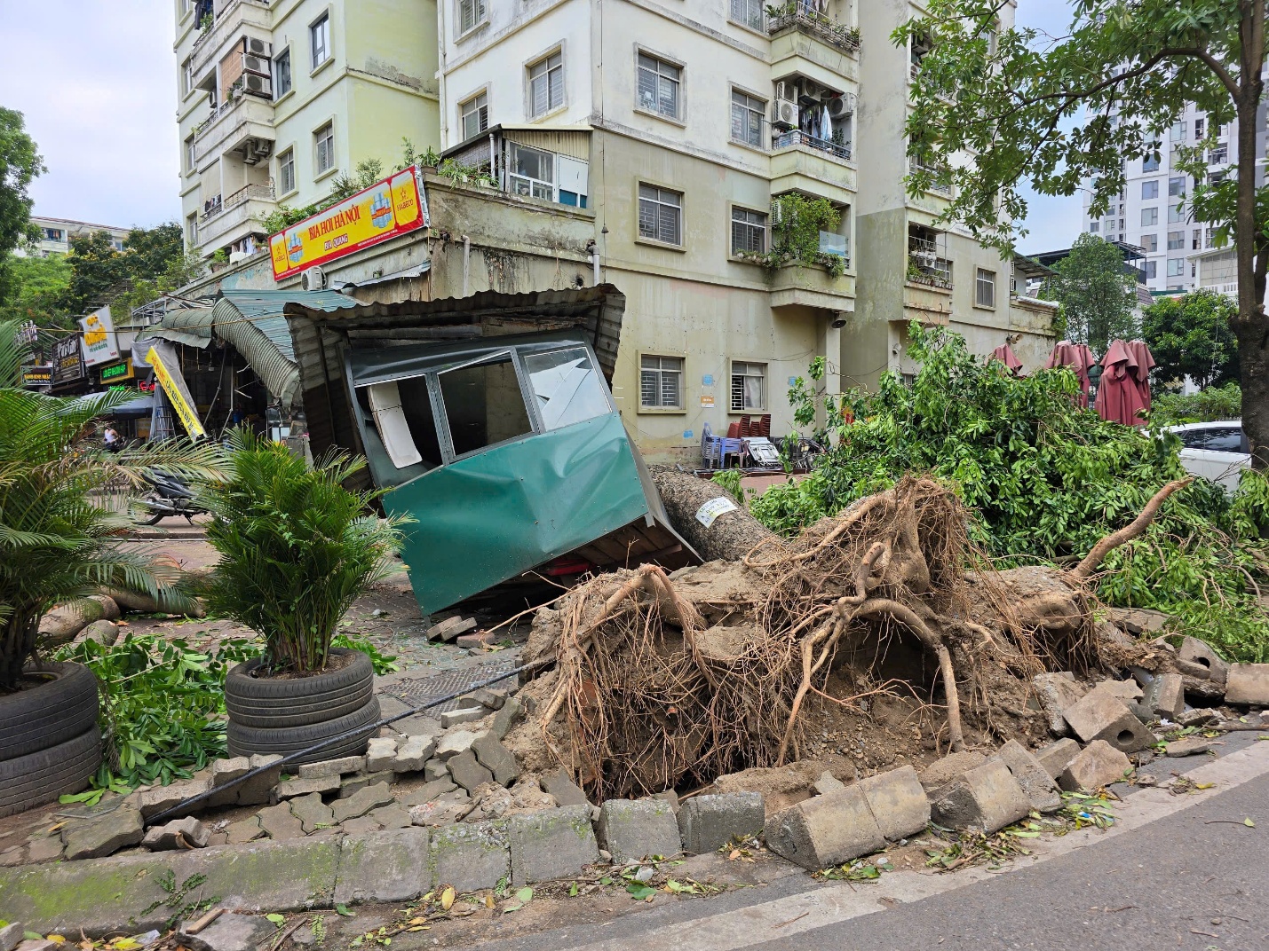 H&agrave; Nội: Khẩn trương thu dọn hơn 940 c&acirc;y đổ, g&atilde;y c&agrave;nh sau cơn d&ocirc;ng bất thường- Ảnh 1.