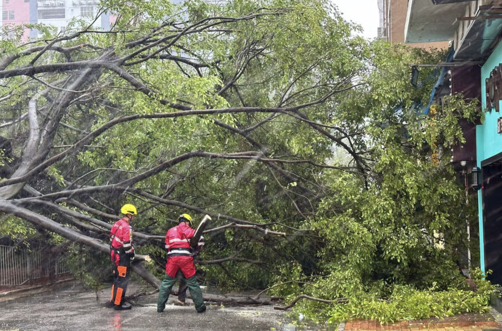 Bão Wipha đổ bộ, Hong Kong (Trung Quốc) phát cảnh báo bão cấp cao nhất- Ảnh 5. Bão Wipha đổ bộ, Hong Kong (Trung Quốc) phát cảnh báo bão cấp cao nhất- Ảnh 5.