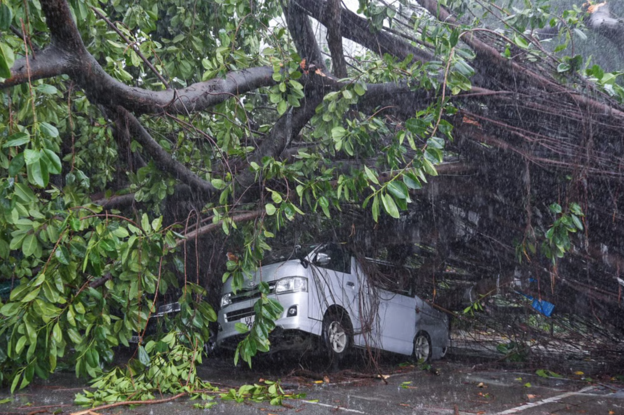 Bão Wipha đổ bộ, Hong Kong (Trung Quốc) phát cảnh báo bão cấp cao nhất- Ảnh 6. Bão Wipha đổ bộ, Hong Kong (Trung Quốc) phát cảnh báo bão cấp cao nhất- Ảnh 6.