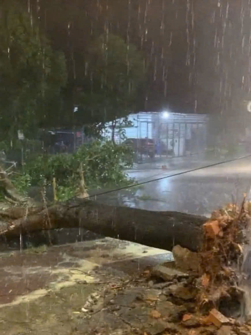 Hà Tĩnh: Kịp thời khắc phục trường học, nhà dân bị tốc mái do lốc xoáy- Ảnh 2. Hà Tĩnh: Kịp thời khắc phục trường học, nhà dân bị tốc mái do lốc xoáy- Ảnh 2.