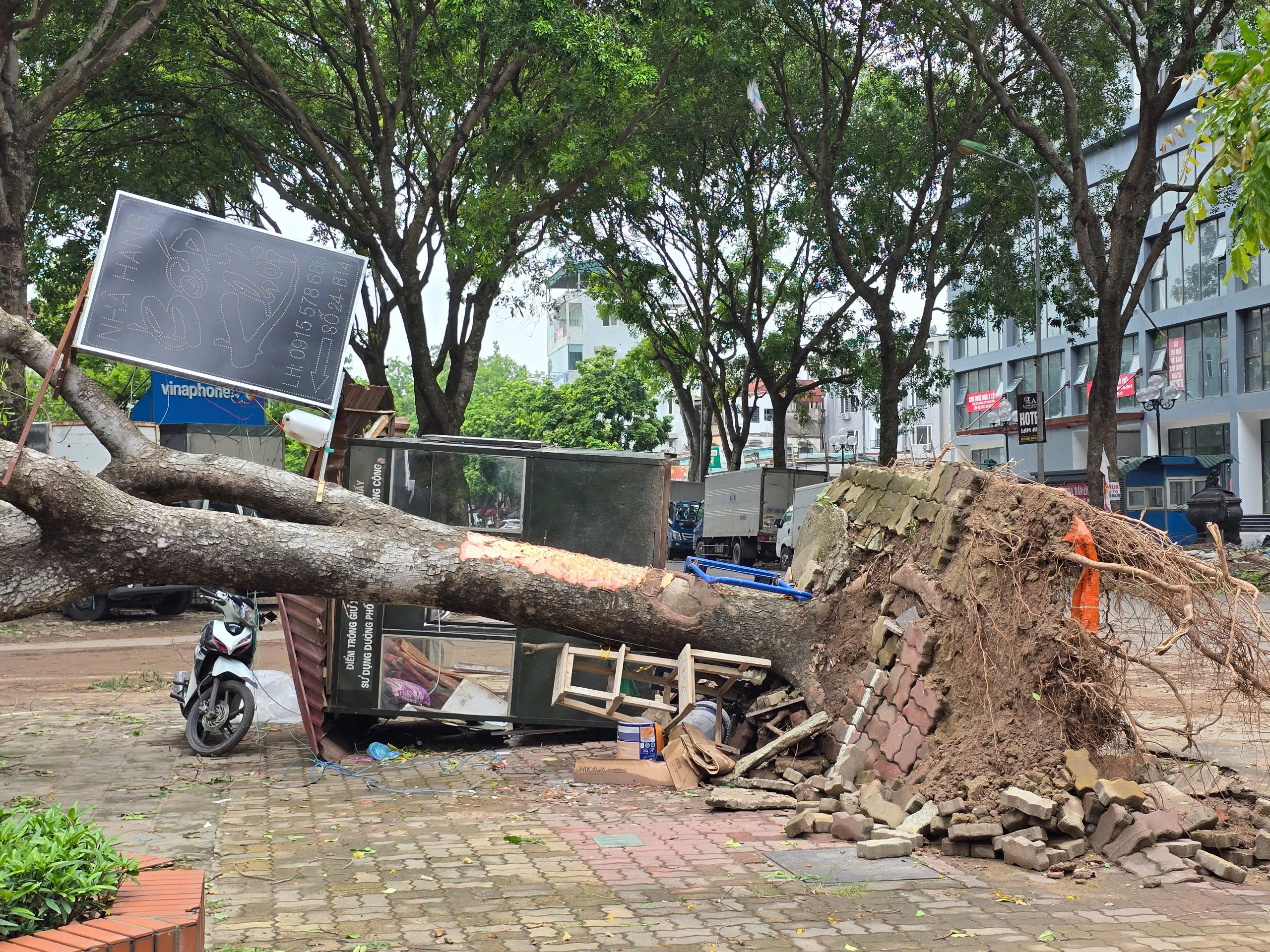 H&agrave; Nội: Khẩn trương khắc phục hậu quả sau gi&ocirc;ng lốc, giải cứu &ocirc; t&ocirc;, xe bu&yacute;t mắc kẹt- Ảnh 10.