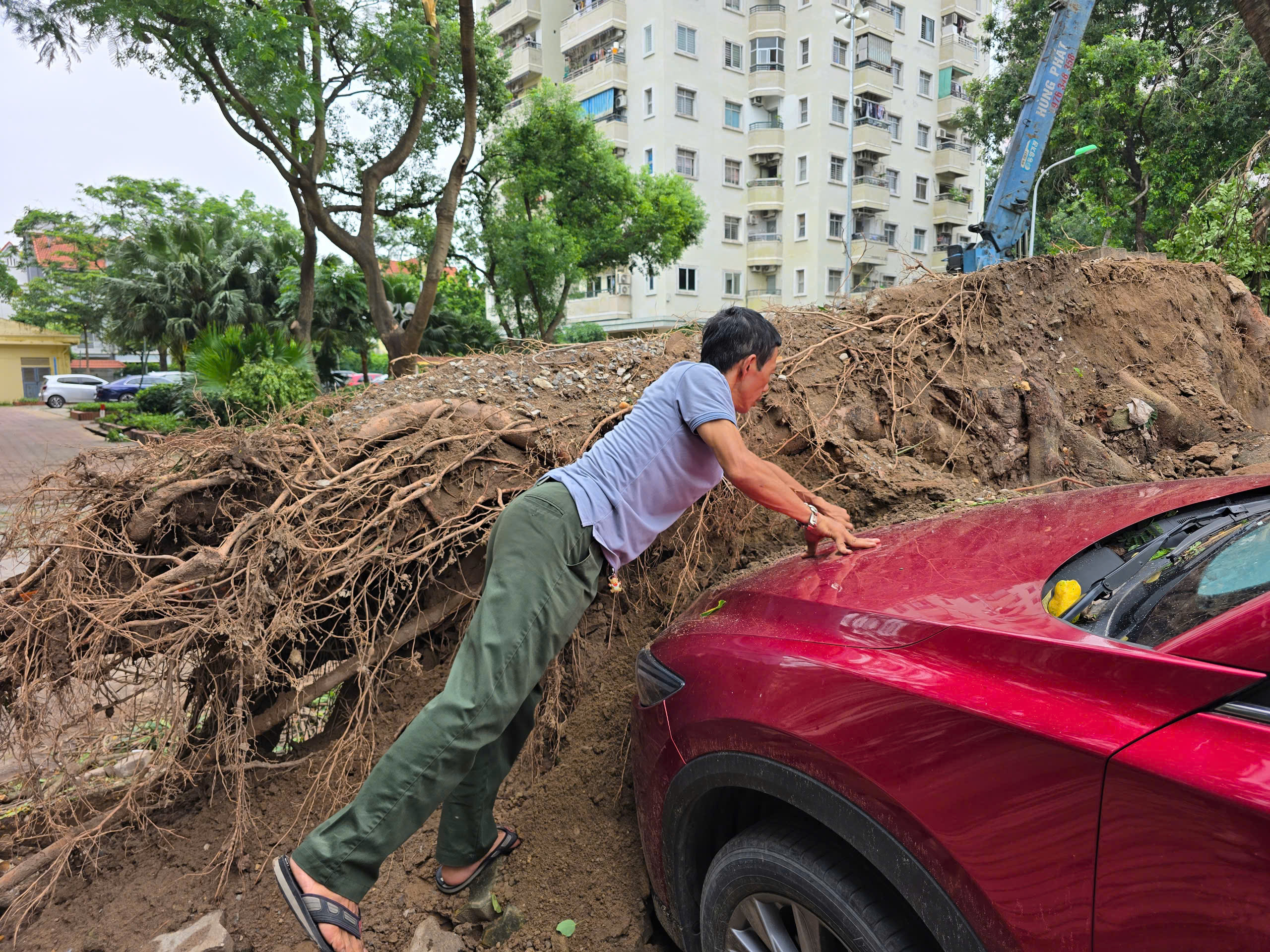 H&agrave; Nội: Khẩn trương khắc phục hậu quả sau gi&ocirc;ng lốc, giải cứu &ocirc; t&ocirc;, xe bu&yacute;t mắc kẹt- Ảnh 7.
