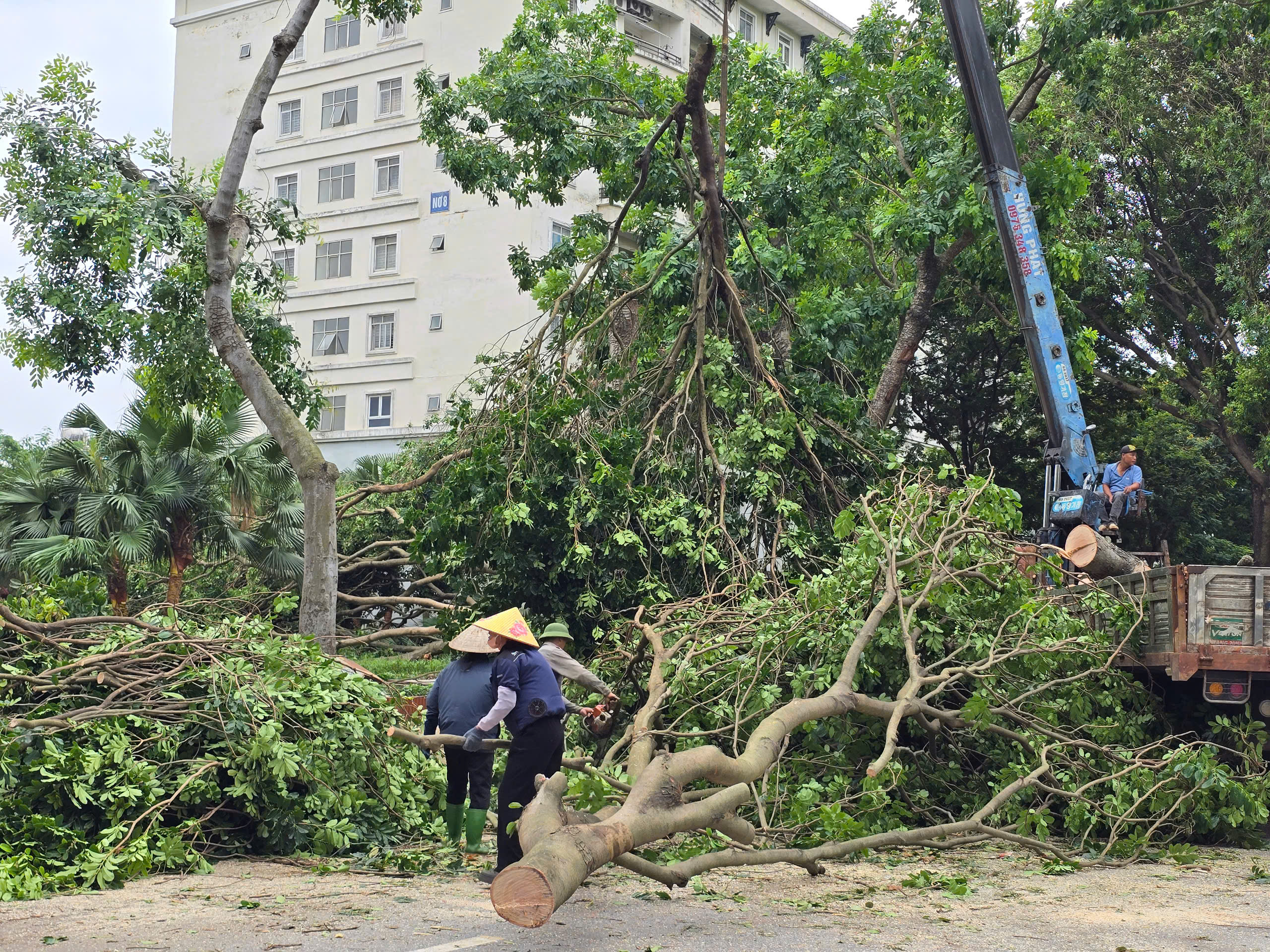 H&agrave; Nội: Khẩn trương khắc phục hậu quả sau gi&ocirc;ng lốc, giải cứu &ocirc; t&ocirc;, xe bu&yacute;t mắc kẹt- Ảnh 14.