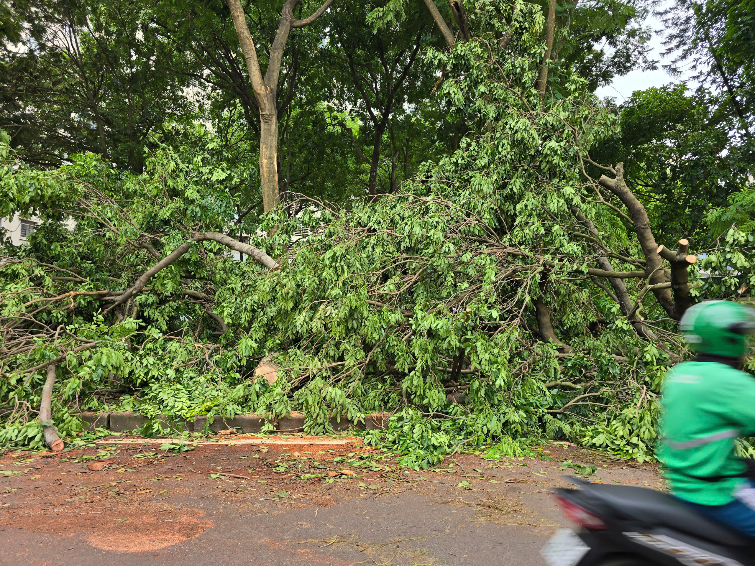 H&agrave; Nội: Khẩn trương khắc phục hậu quả sau gi&ocirc;ng lốc, giải cứu &ocirc; t&ocirc;, xe bu&yacute;t mắc kẹt- Ảnh 4.