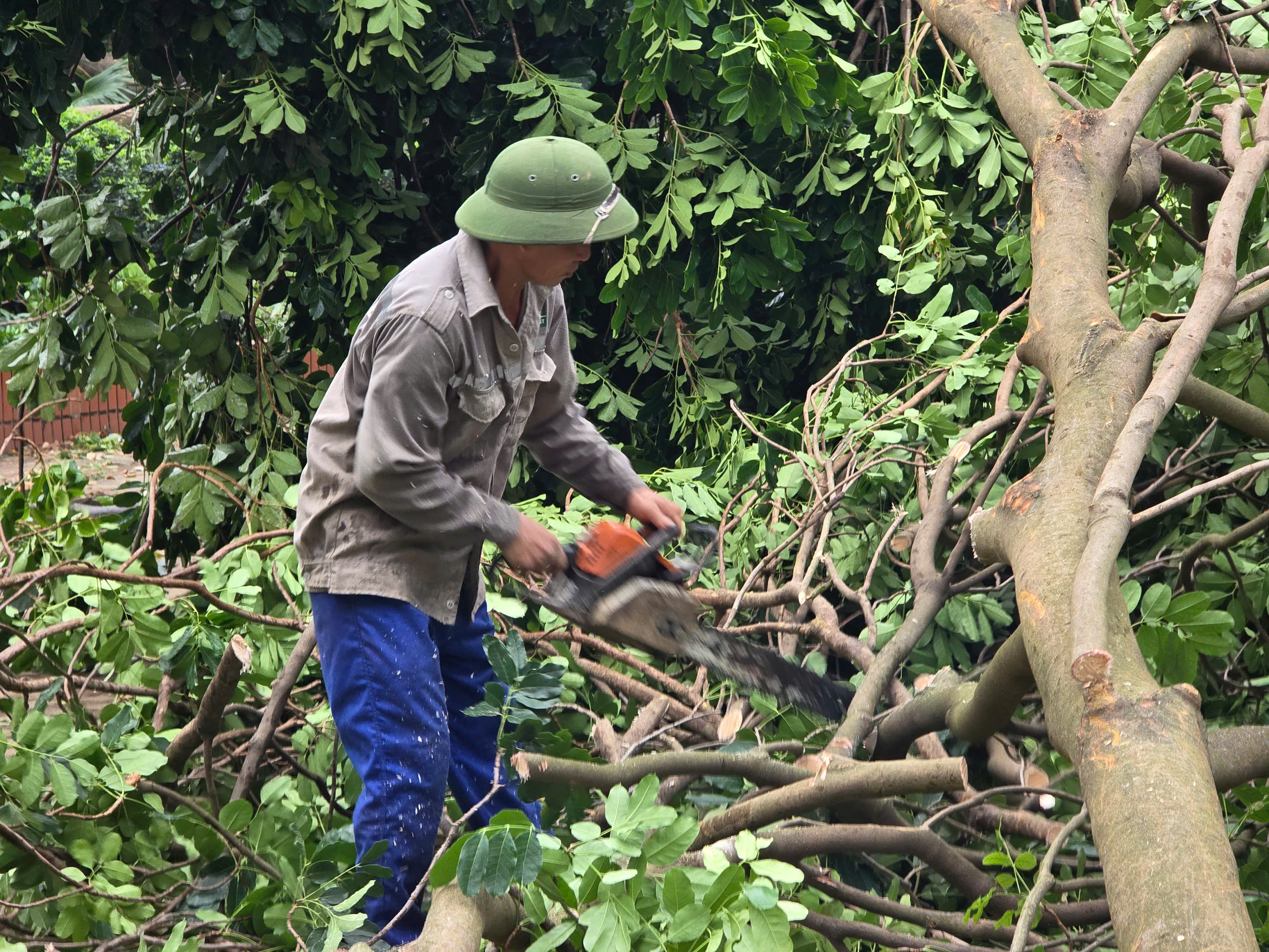 H&agrave; Nội: Khẩn trương khắc phục hậu quả sau gi&ocirc;ng lốc, giải cứu &ocirc; t&ocirc;, xe bu&yacute;t mắc kẹt- Ảnh 17.