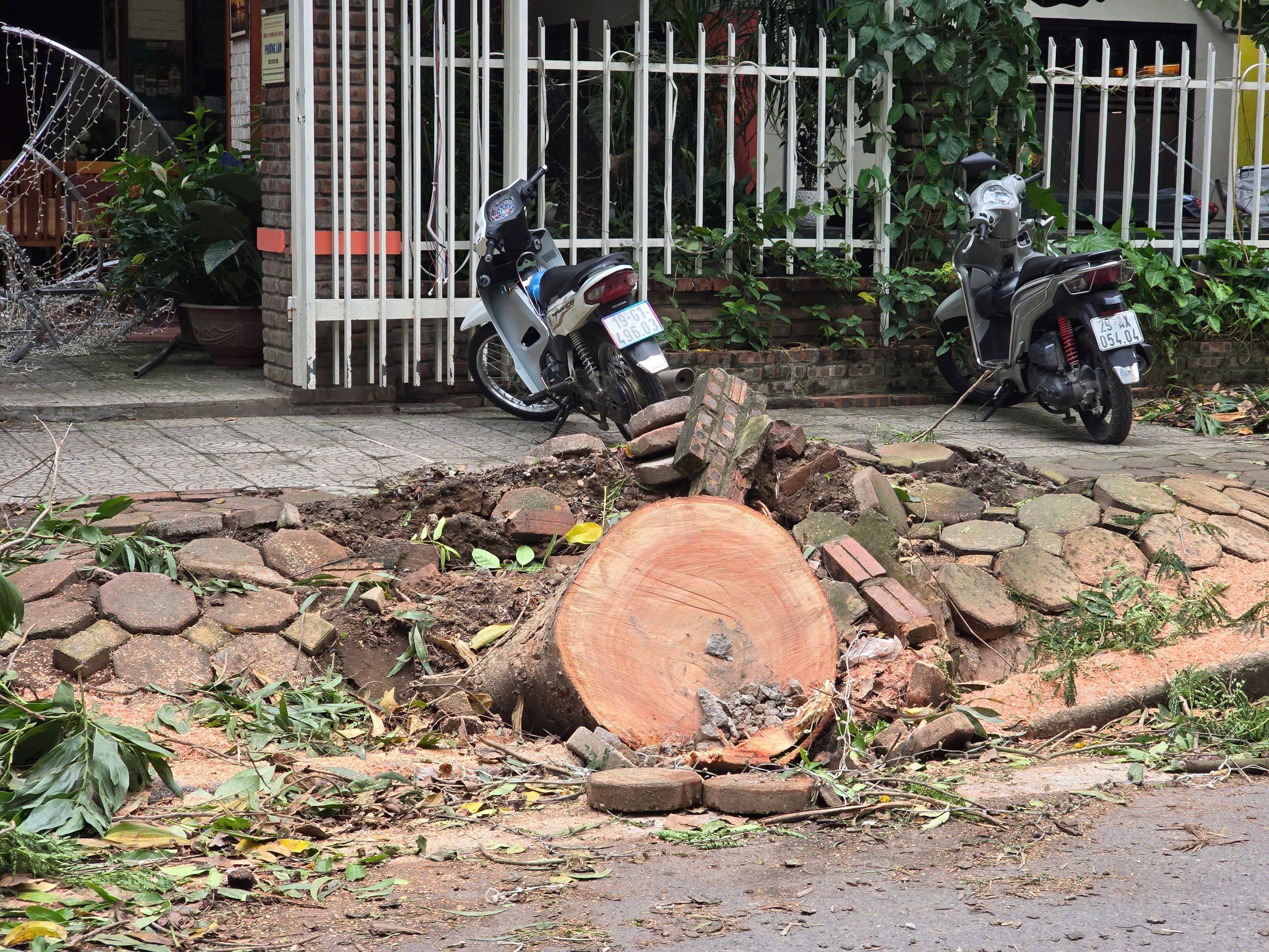 H&agrave; Nội: Khẩn trương khắc phục hậu quả sau gi&ocirc;ng lốc, giải cứu &ocirc; t&ocirc;, xe bu&yacute;t mắc kẹt- Ảnh 13.
