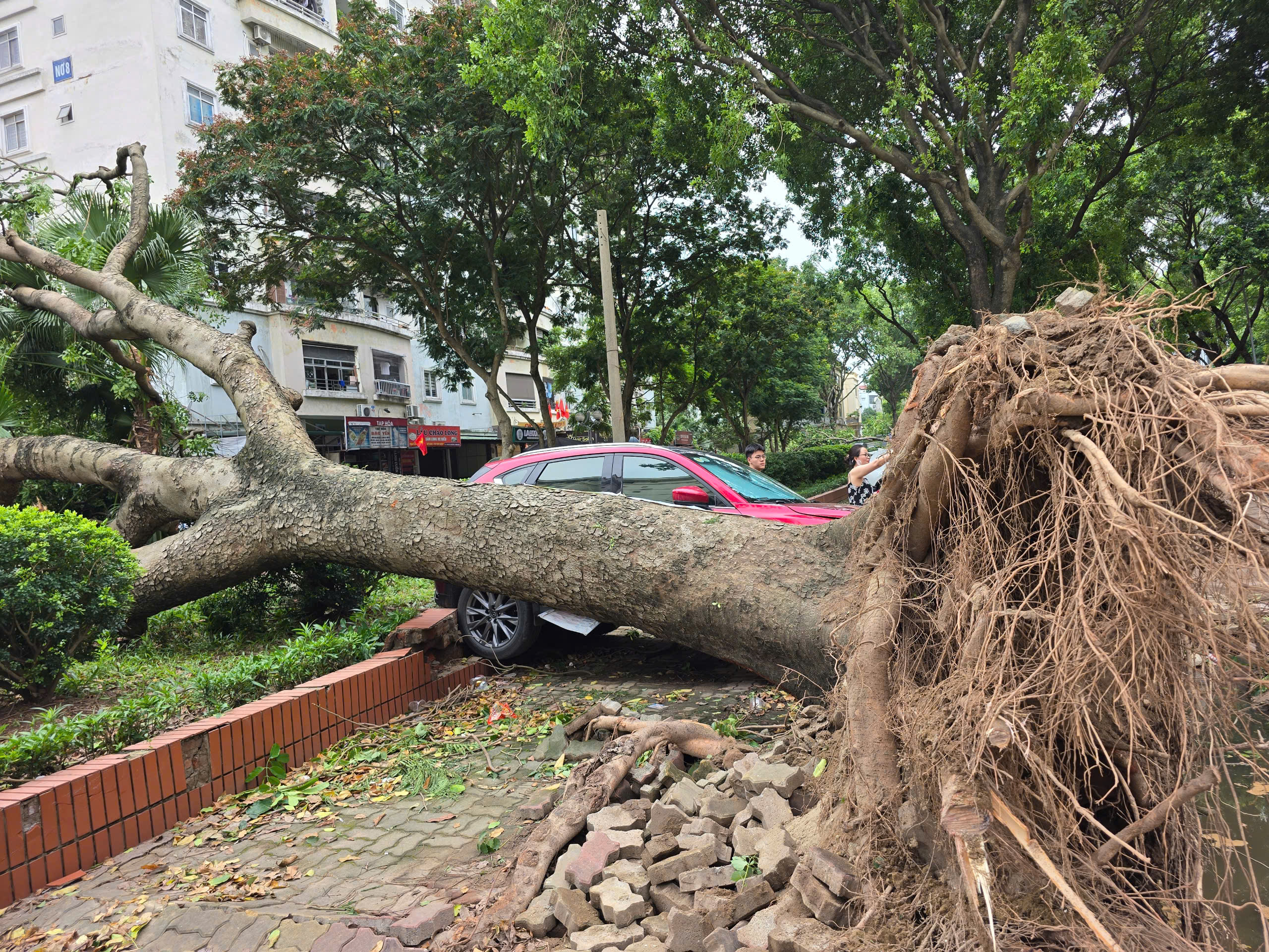 H&agrave; Nội: Khẩn trương khắc phục hậu quả sau gi&ocirc;ng lốc, giải cứu &ocirc; t&ocirc;, xe bu&yacute;t mắc kẹt- Ảnh 1.