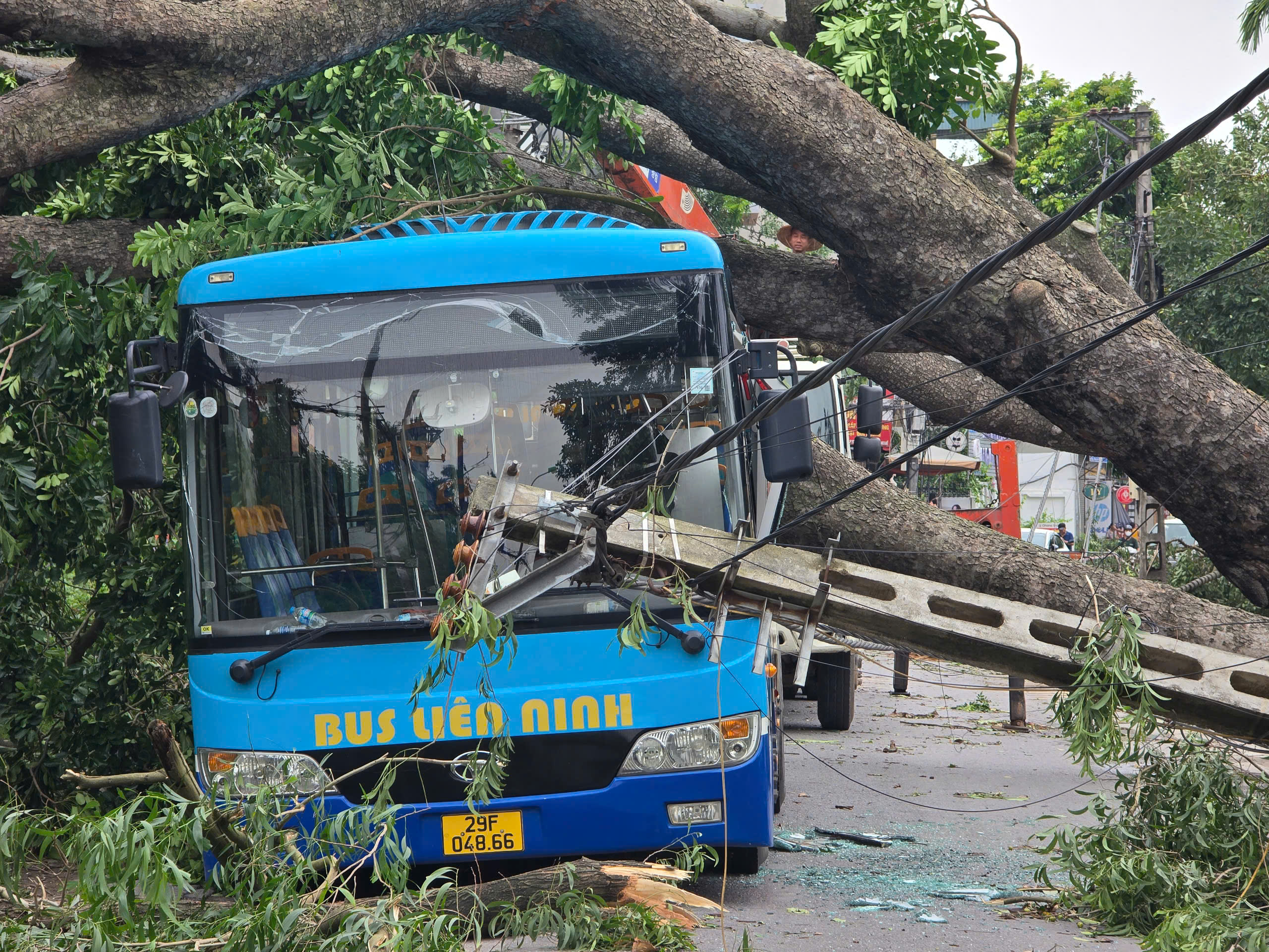 H&agrave; Nội: Khẩn trương khắc phục hậu quả sau gi&ocirc;ng lốc, giải cứu &ocirc; t&ocirc;, xe bu&yacute;t mắc kẹt- Ảnh 5.