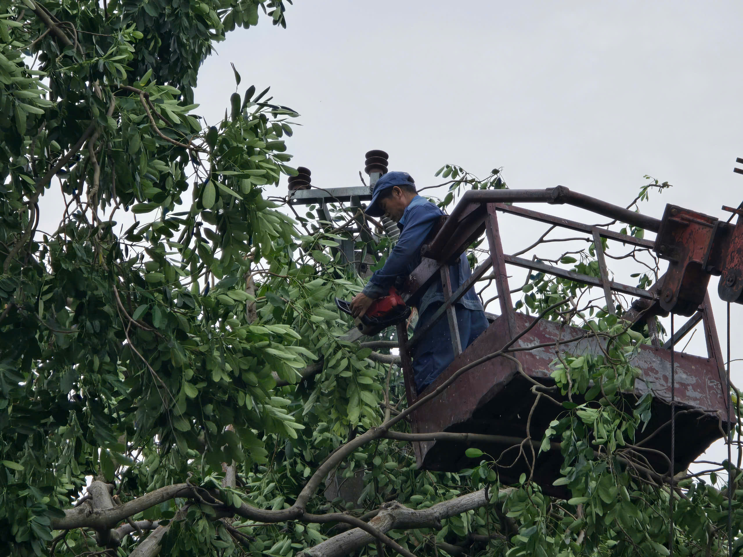 H&agrave; Nội: Khẩn trương khắc phục hậu quả sau gi&ocirc;ng lốc, giải cứu &ocirc; t&ocirc;, xe bu&yacute;t mắc kẹt- Ảnh 18.