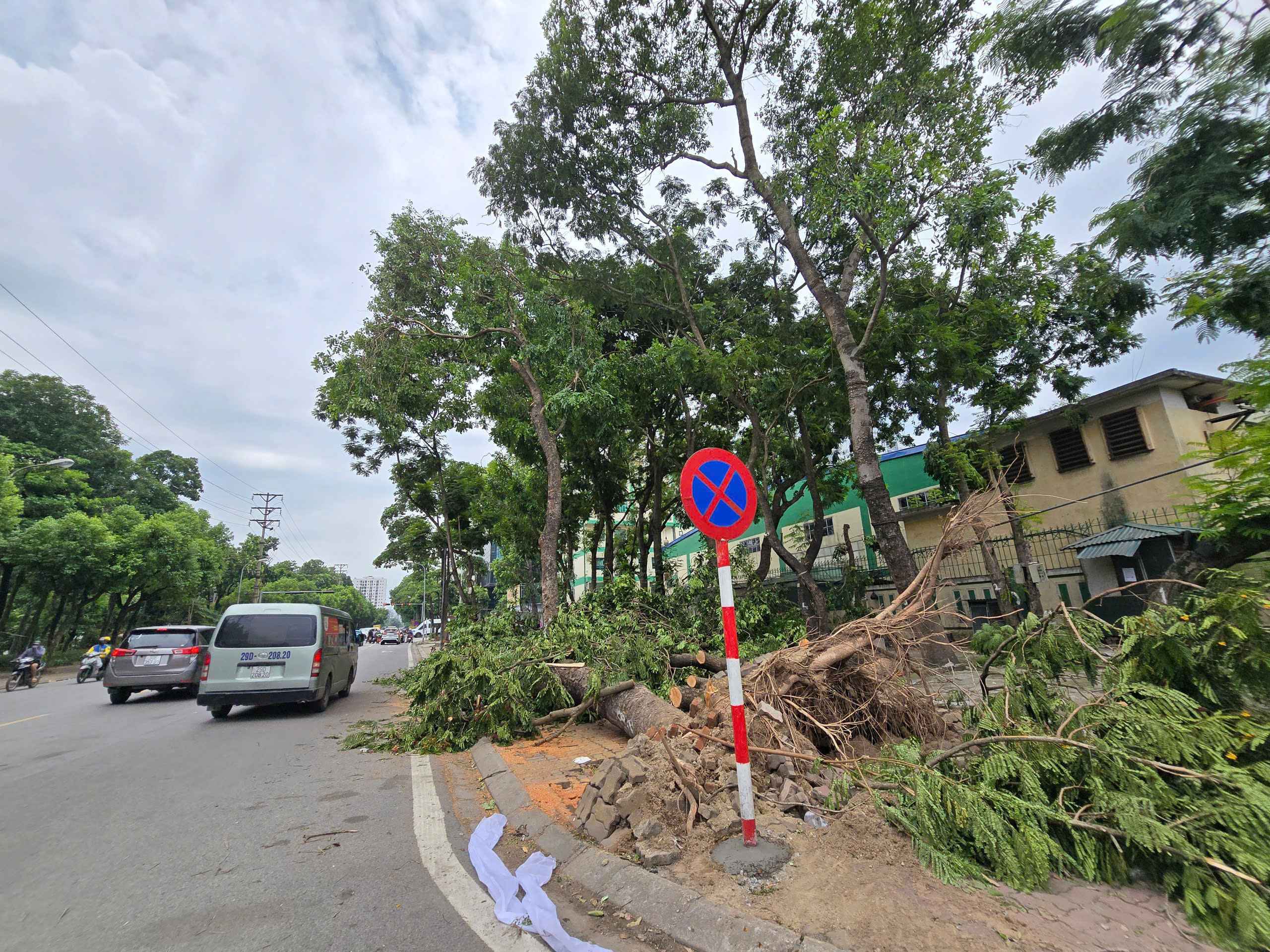 H&agrave; Nội: Khẩn trương khắc phục hậu quả sau gi&ocirc;ng lốc, giải cứu &ocirc; t&ocirc;, xe bu&yacute;t mắc kẹt- Ảnh 20.