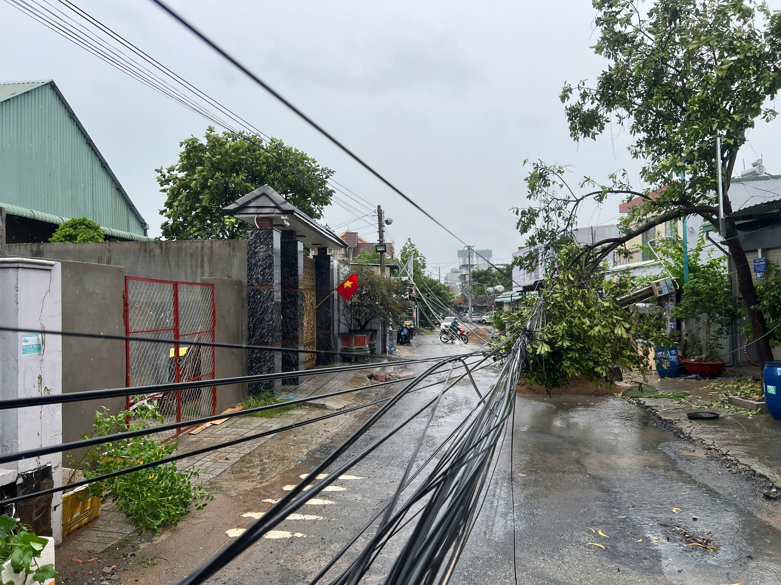 Gi&ocirc;ng lốc c&agrave;n qu&eacute;t TP.HCM: Nhiều căn nh&agrave; tốc m&aacute;i, c&acirc;y xanh, cột điện ng&atilde; đổ- Ảnh 8.