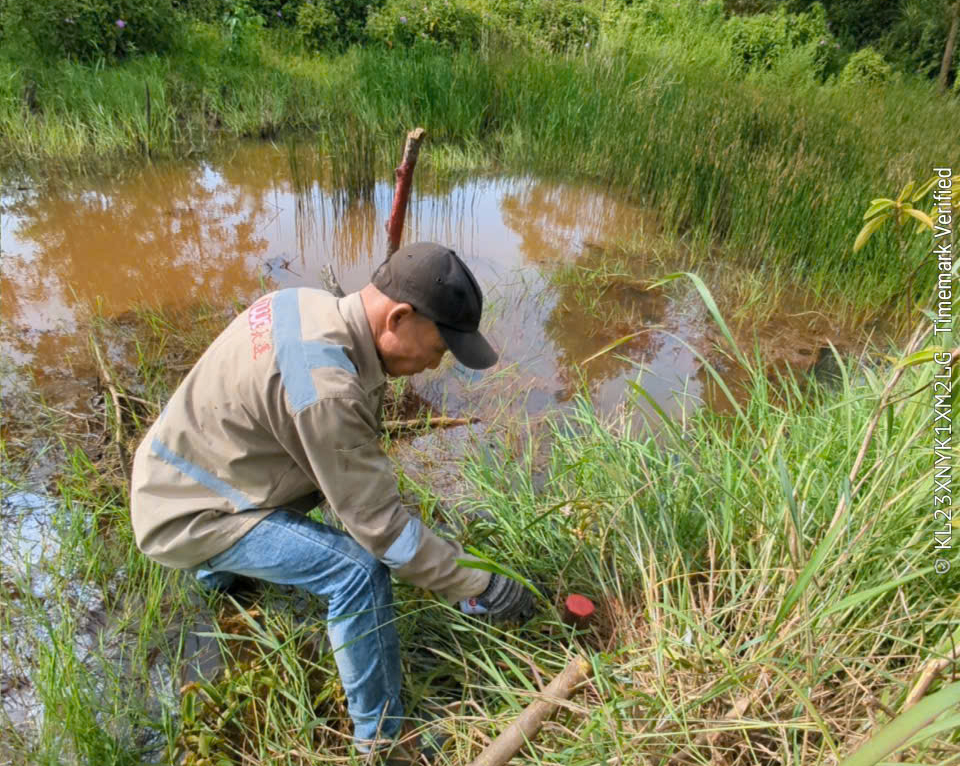 Nhiều x&atilde; ở H&agrave; Tĩnh đ&atilde; cắm mốc đường sắt tốc độ cao Bắc - Nam- Ảnh 3.