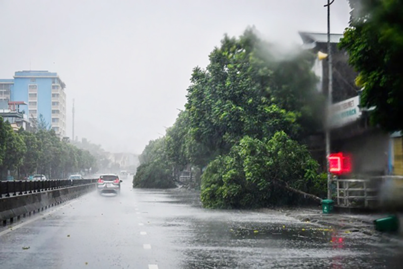 Các tỉnh, thành chỉ đạo tập trung ứng phó bão số 3- Ảnh 6. Các tỉnh, thành chỉ đạo tập trung ứng phó bão số 3- Ảnh 6.