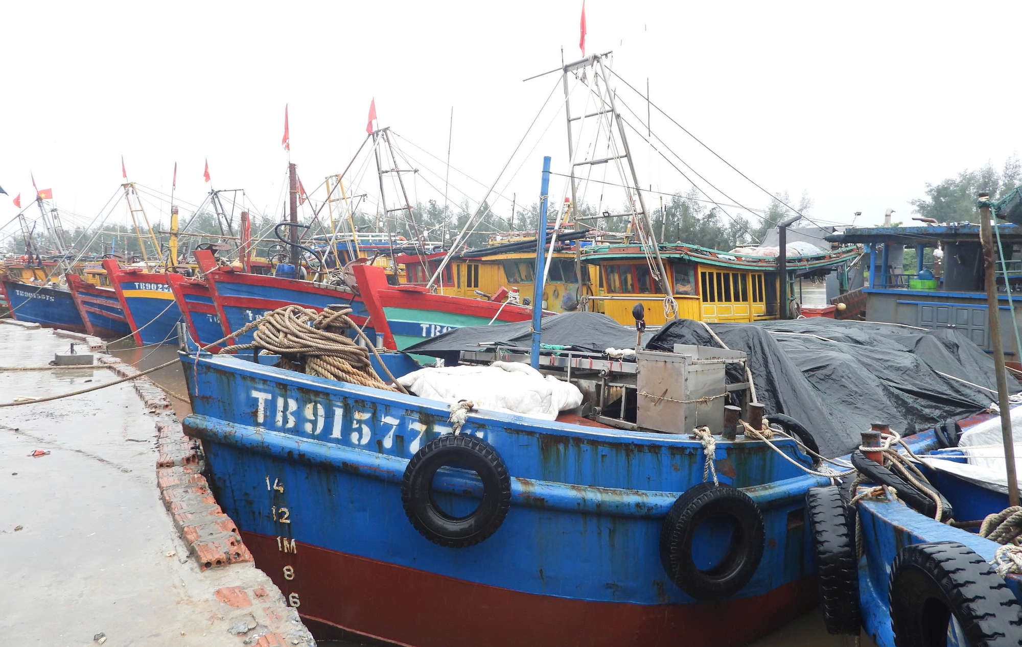 Các tỉnh, thành chỉ đạo tập trung ứng phó bão số 3- Ảnh 3. Các tỉnh, thành chỉ đạo tập trung ứng phó bão số 3- Ảnh 3.