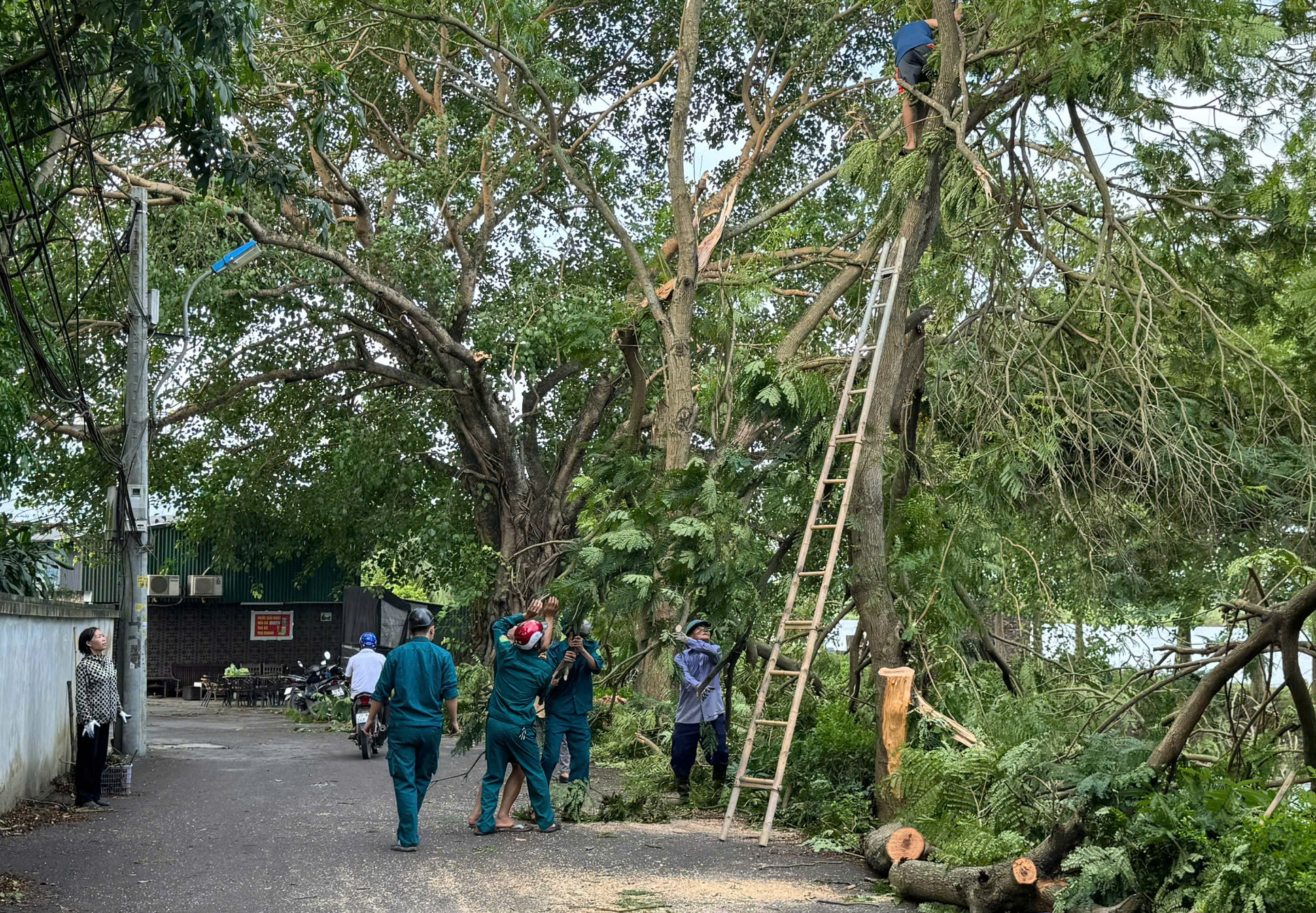 Hà Nội chủ động ứng phó bão số 3 Wipha- Ảnh 3. Hà Nội chủ động ứng phó bão số 3 Wipha- Ảnh 3.