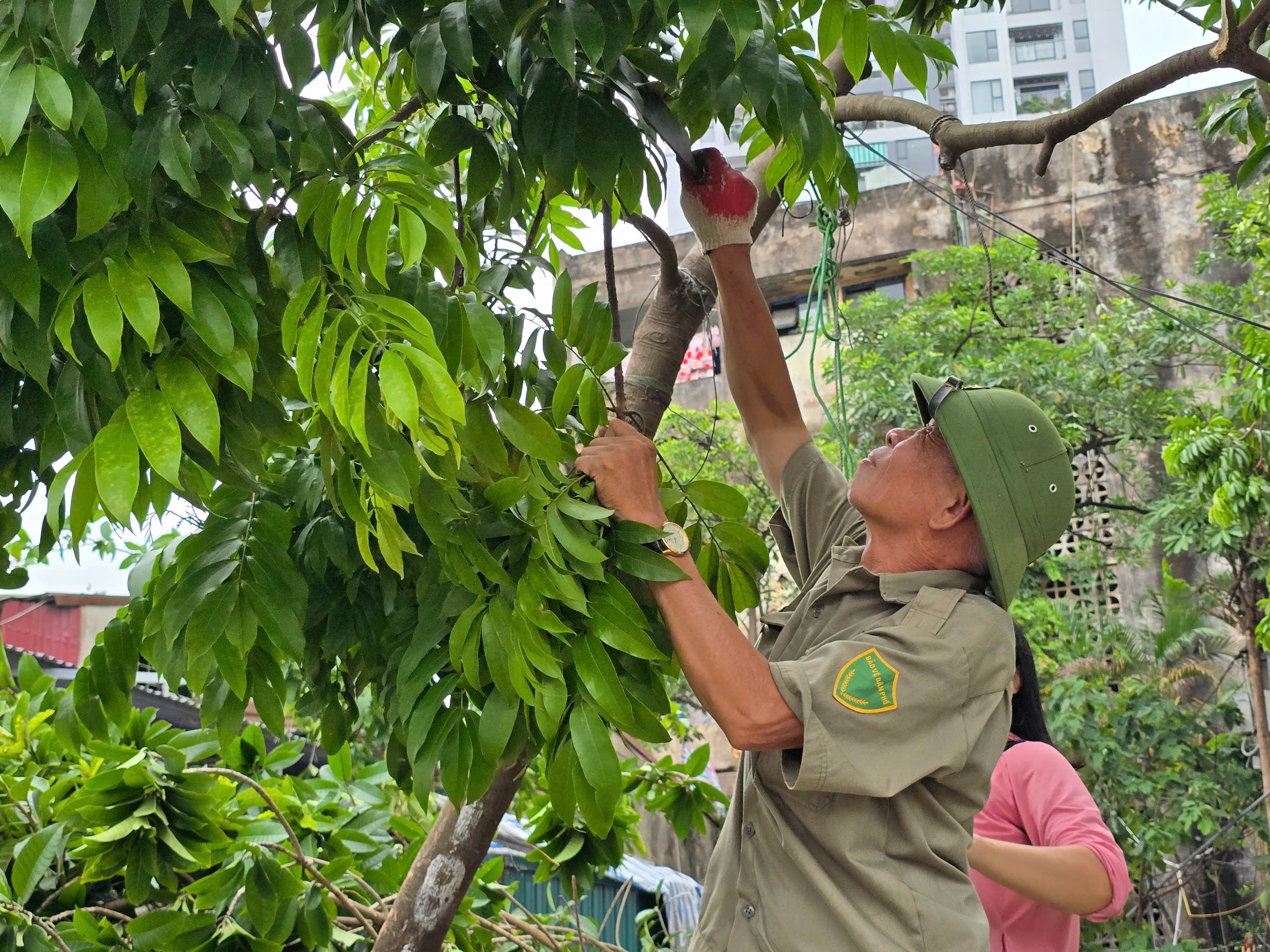 H&agrave; Nội: Ch&iacute;nh quyền h&agrave;nh động, người d&acirc;n chủ động ứng ph&oacute; b&atilde;o số 3- Ảnh 11.