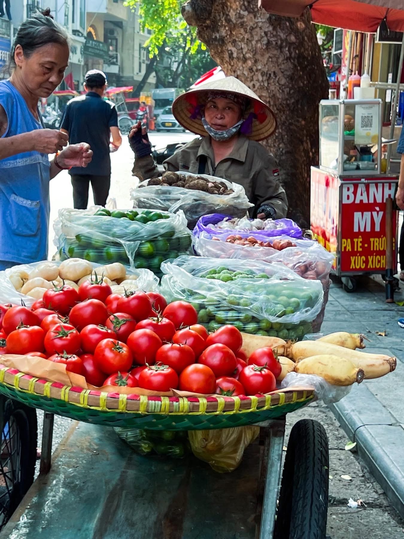 H&agrave; Nội: Ch&iacute;nh quyền h&agrave;nh động, người d&acirc;n chủ động ứng ph&oacute; b&atilde;o số 3- Ảnh 10.