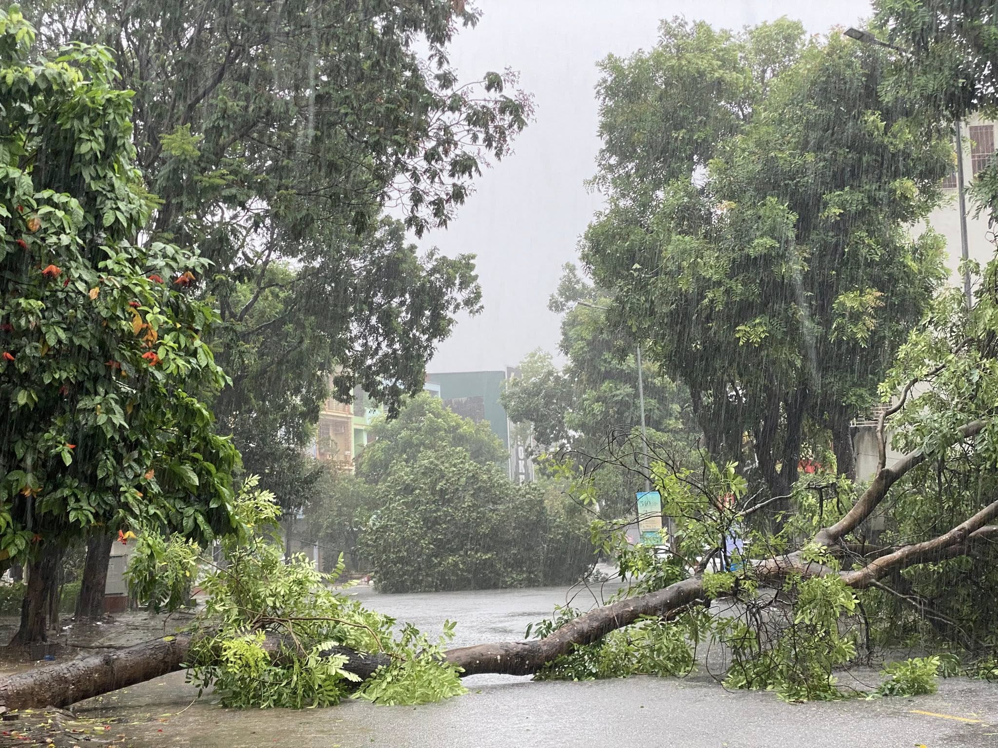 Diễn biến b&atilde;o số 3: Nước ngập đến cổ, người d&acirc;n Nghệ An chạy lũ trong đ&ecirc;m- Ảnh 18.