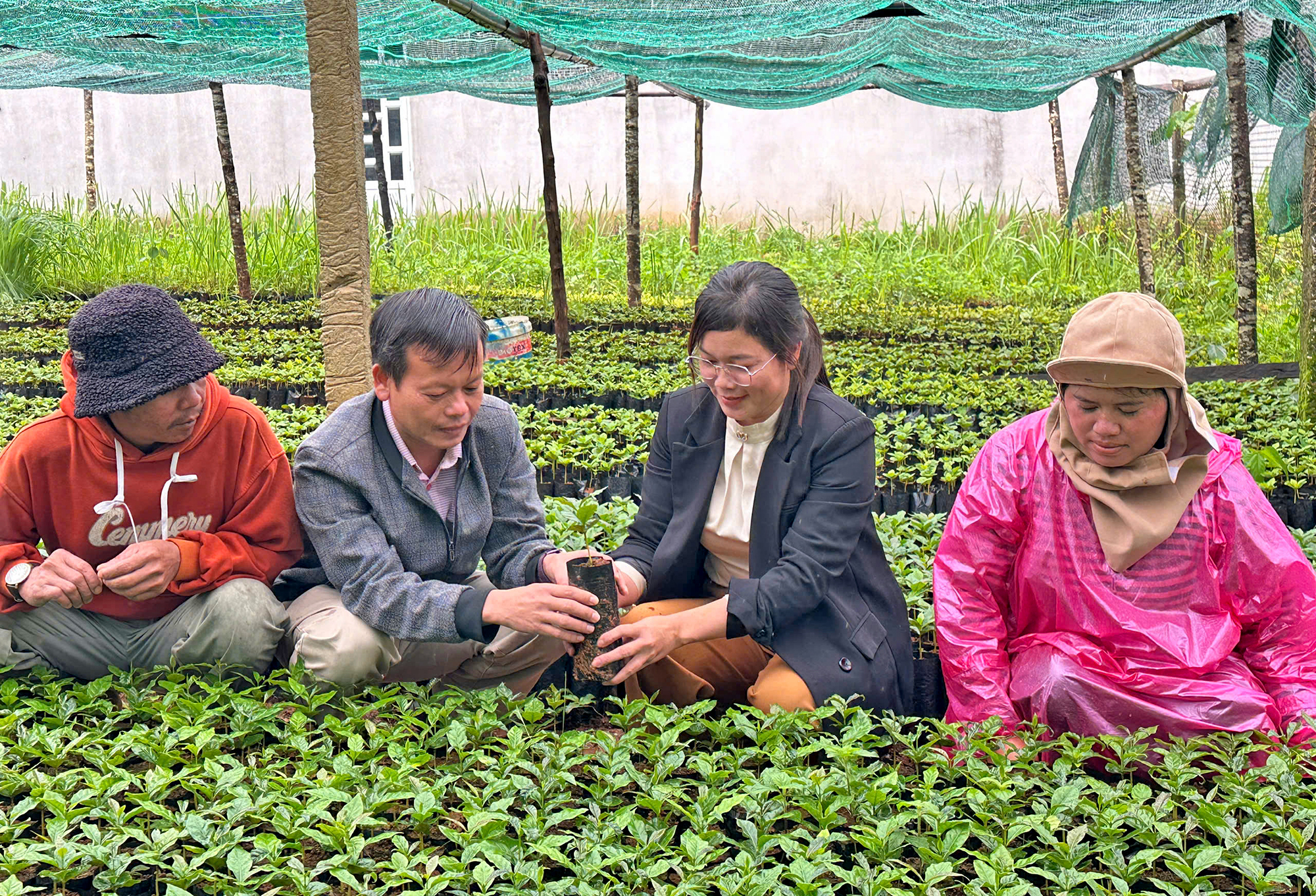 Đại hội Đảng bộ x&atilde; &ldquo;nhận c&acirc;y giống, kh&ocirc;ng nhận hoa&rdquo;- Ảnh 1.