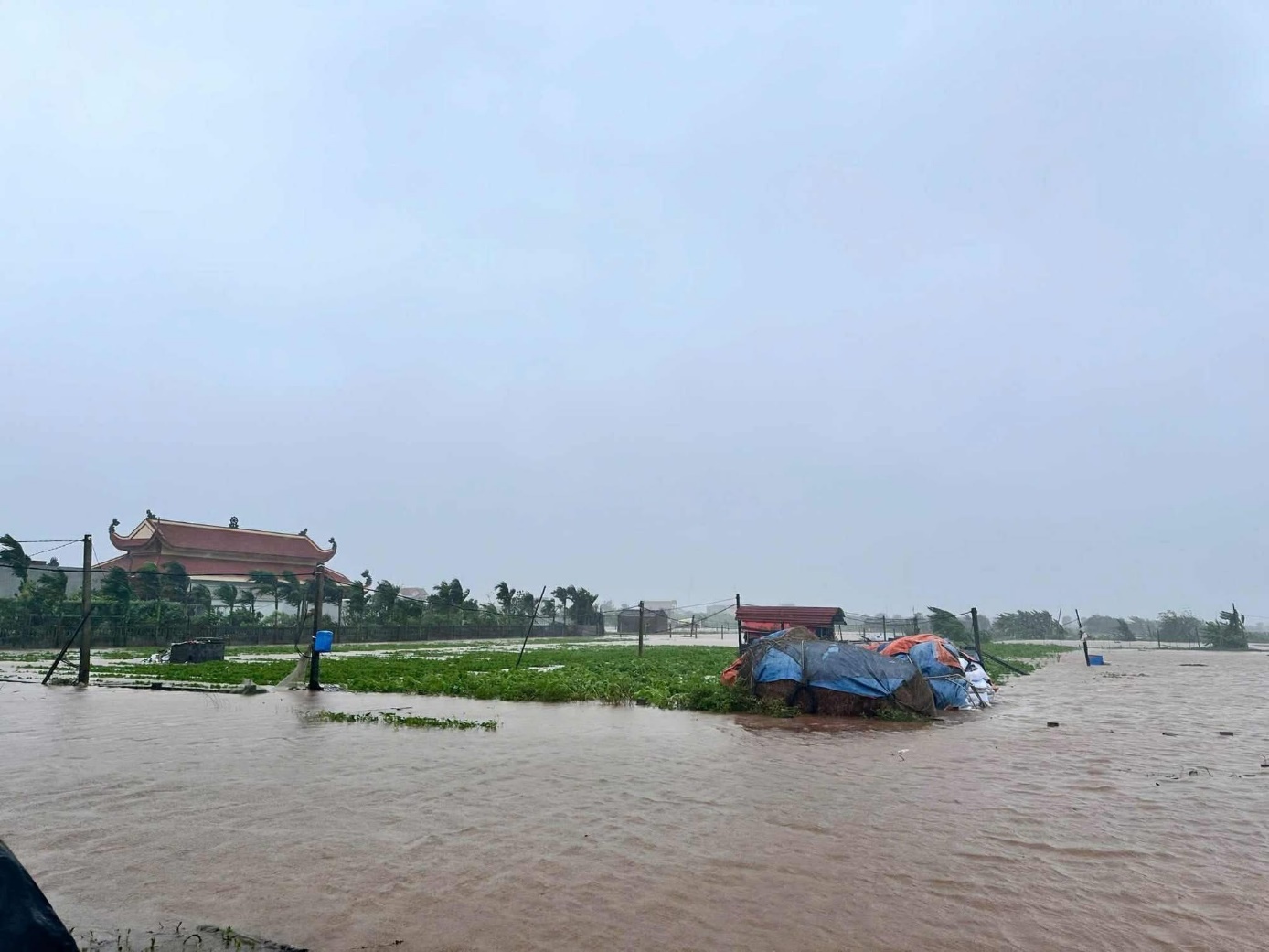 Diễn biến b&atilde;o số 3: Nước ngập đến cổ, người d&acirc;n Nghệ An chạy lũ trong đ&ecirc;m- Ảnh 14.