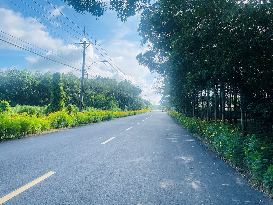 TP.HCM: Tất cả c&aacute;c x&atilde; ho&agrave;n th&agrave;nh ti&ecirc;u ch&iacute; n&ocirc;ng th&ocirc;n mới n&acirc;ng cao- Ảnh 1.