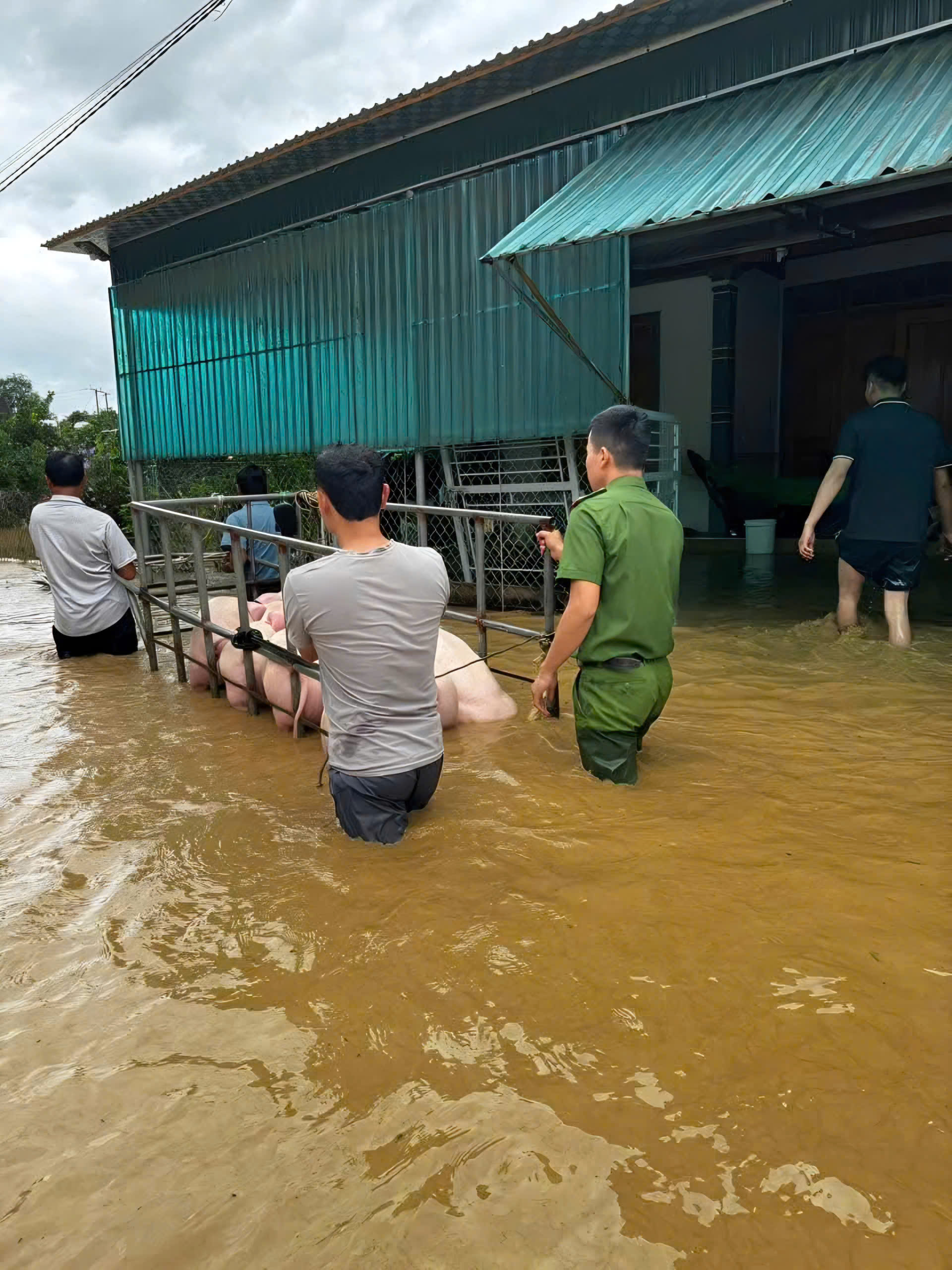 Nghe tin nh&agrave; bị lũ cuốn, người d&acirc;n kh&ocirc;ng về được do QL7 qua Nghệ An ch&igrave;m trong biển nước- Ảnh 10.