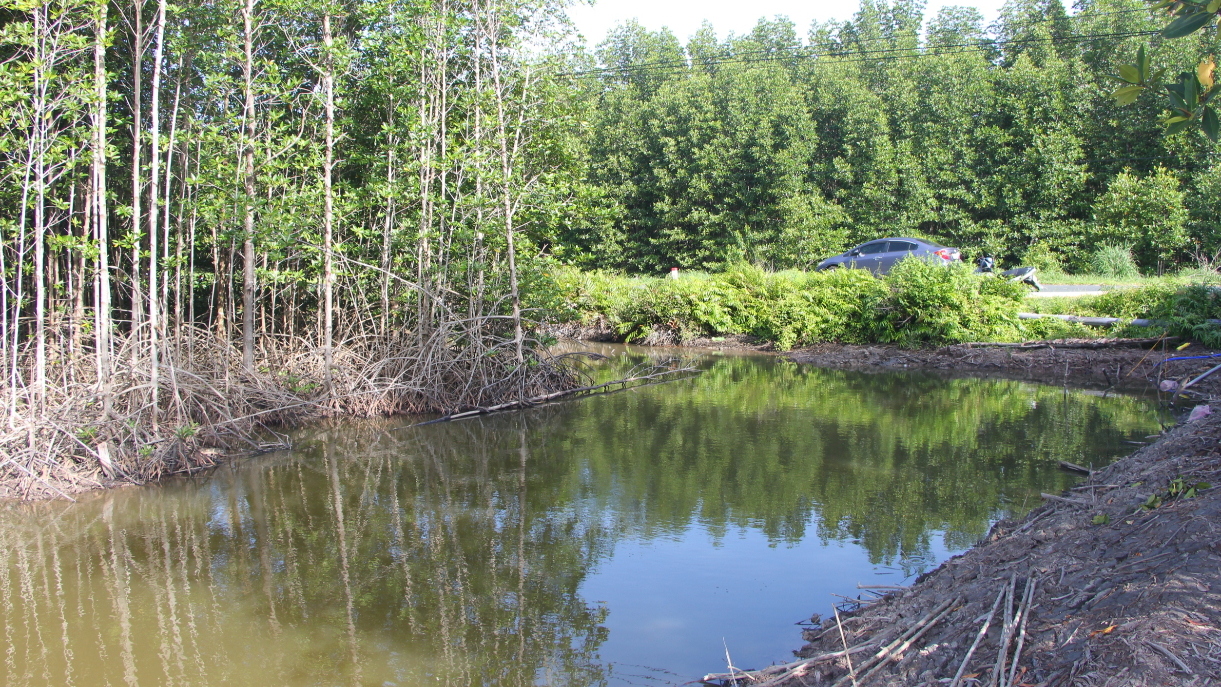 Cao tốc C&agrave; Mau - Đất Mũi: Người d&acirc;n đồng thuận giao mặt bằng, sẵn s&agrave;ng khởi c&ocirc;ng 19/8- Ảnh 1.