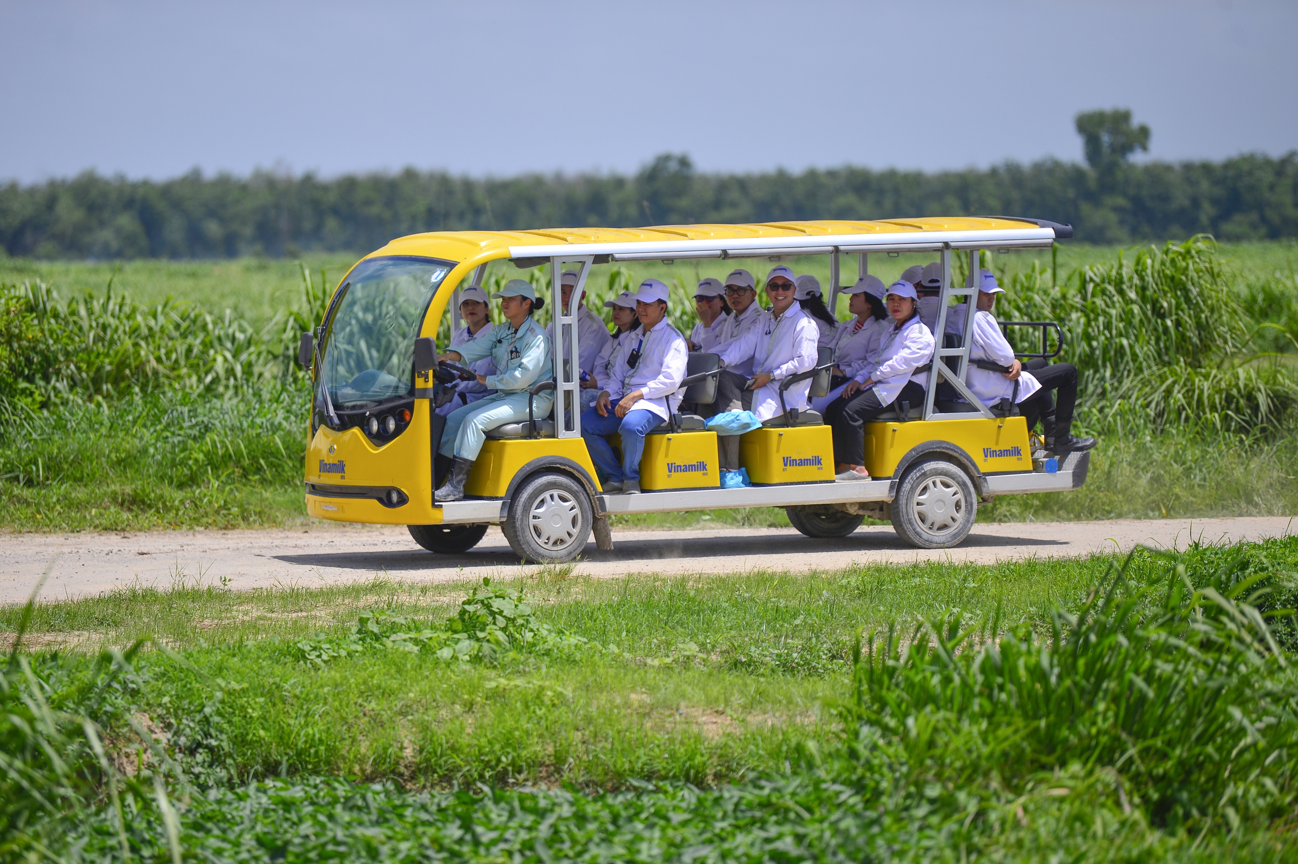 D&ugrave; thường xuy&ecirc;n đ&oacute;n c&aacute;c đo&agrave;n tham quan ngo&agrave;i nước đến thăm, lần n&agrave;y, c&acirc;u chuyện Green Farm T&acirc;y Ninh được kể qua một lăng k&iacute;nh mới. Những chiếc xe điện chở ch&uacute;ng t&ocirc;i đến c&aacute;c khu vực chăn nu&ocirc;i, trồng trọt, xử l&yacute; chất thải&hellip; tận mắt t&igrave;m hiểu c&aacute;ch Vinamilk "mở kh&oacute;a" tự nhi&ecirc;n, biến v&ugrave;ng đất vốn nắng gi&oacute;, cằn cỗi hoang h&oacute;a th&agrave;nh một trang trại với mệnh danh "resort b&ograve; sữa", theo định hướng ph&aacute;t triển bền vững.