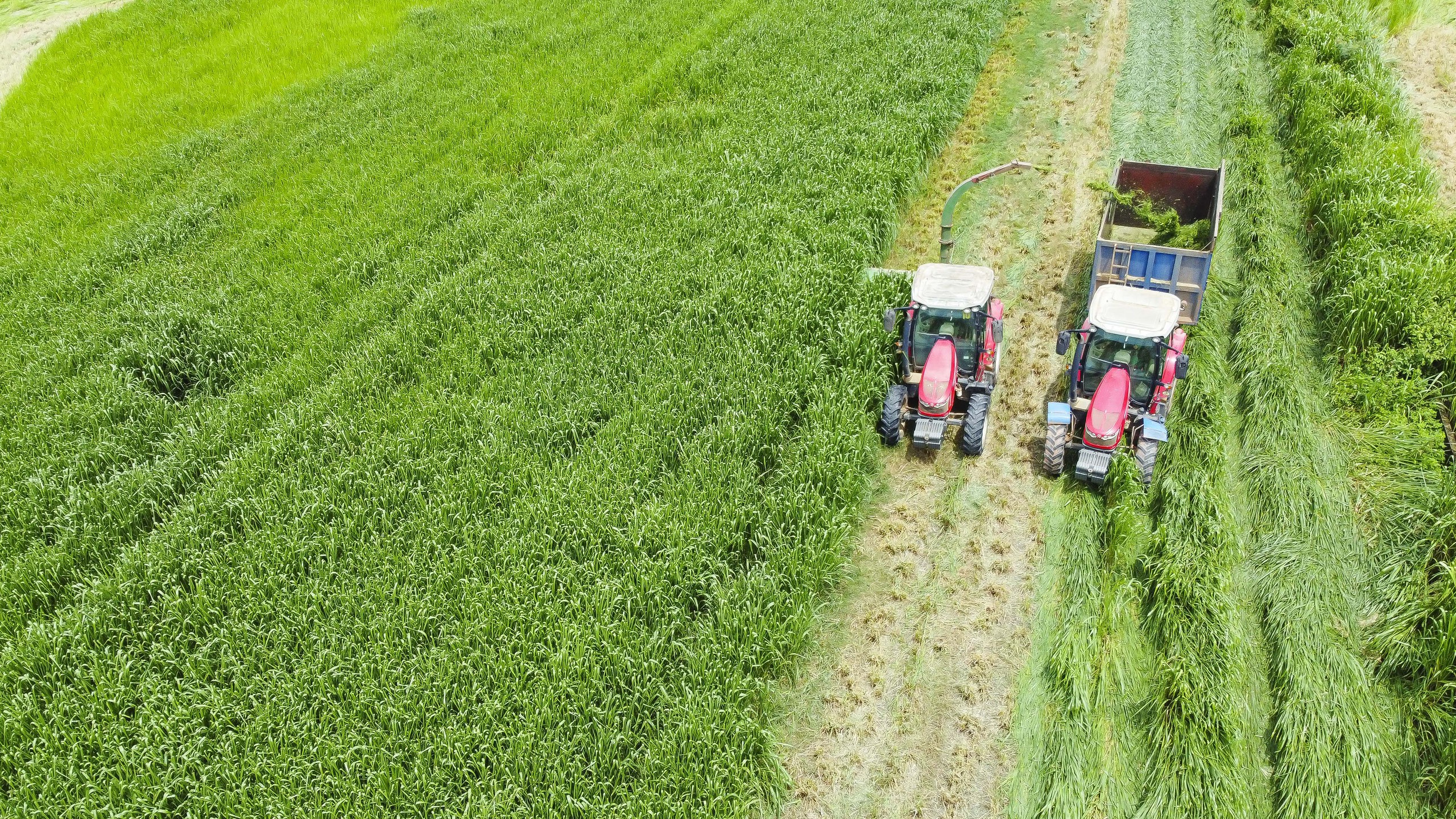 Điều khiến nhiều người ấn tượng kh&ocirc;ng chỉ l&agrave; v&ograve;ng tuần ho&agrave;n đất, nước, xử l&yacute; chất thải&hellip; được h&igrave;nh th&agrave;nh b&ecirc;n trong trang trại m&agrave; c&ograve;n l&agrave; c&aacute;ch Vinamilk mở rộng ra cộng đồng địa phương, tạo n&ecirc;n một v&ugrave;ng n&ocirc;ng nghiệp vệ tinh của c&aacute;c trang trại được ph&aacute;t triển theo hướng bền vững.