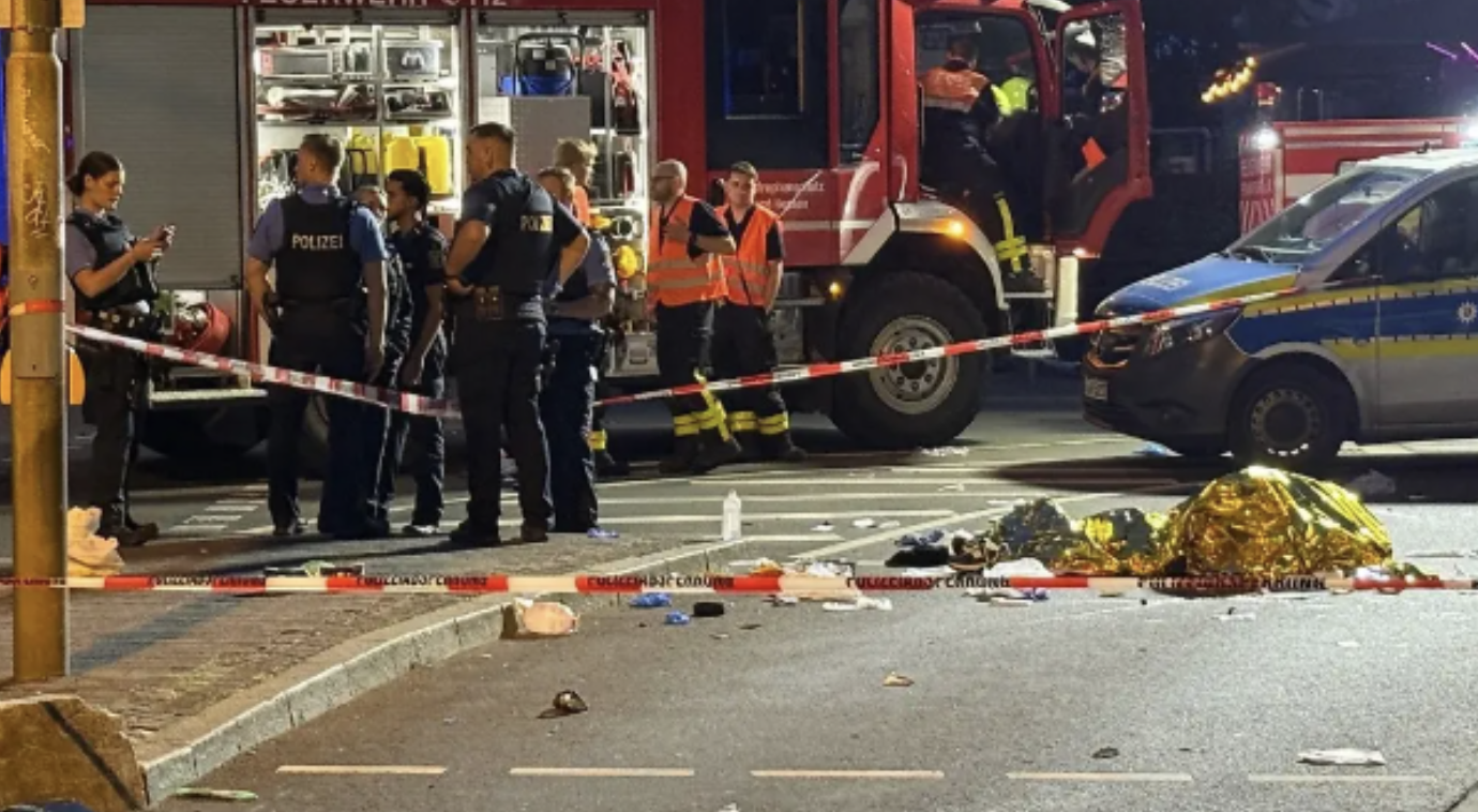 Phối hợp l&agrave;m r&otilde; vụ tai nạn khiến hai anh em song sinh người Việt thiệt mạng tại Đức- Ảnh 1.