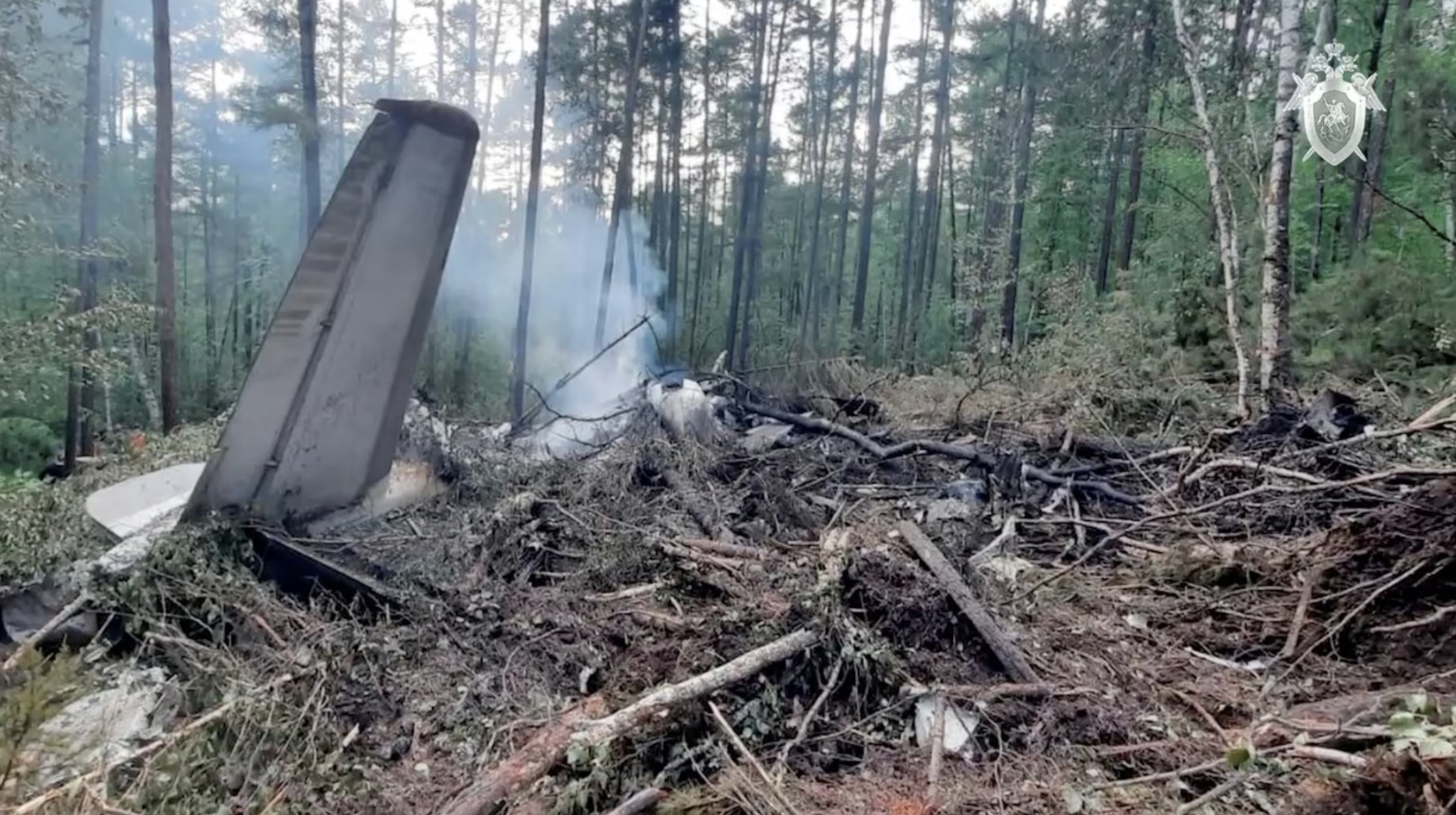 Chủ tịch nước gửi điện thăm hỏi Nga sau vụ tai nạn m&aacute;y bay khiến gần 50 người thiệt mạng- Ảnh 1.