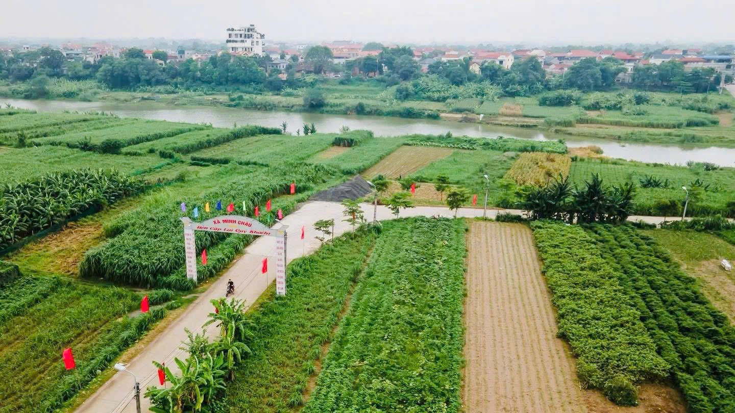 H&agrave; Nội: M&ocirc; h&igrave;nh "hai phục vụ" tại x&atilde; đảo Minh Ch&acirc;u- Ảnh 16.