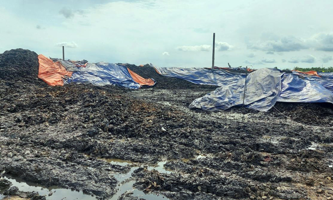 Đồng Tháp: Khởi tố giám đốc công ty gây ô nhiễm môi trường- Ảnh 2. Đồng Tháp: Khởi tố giám đốc công ty gây ô nhiễm môi trường- Ảnh 2.