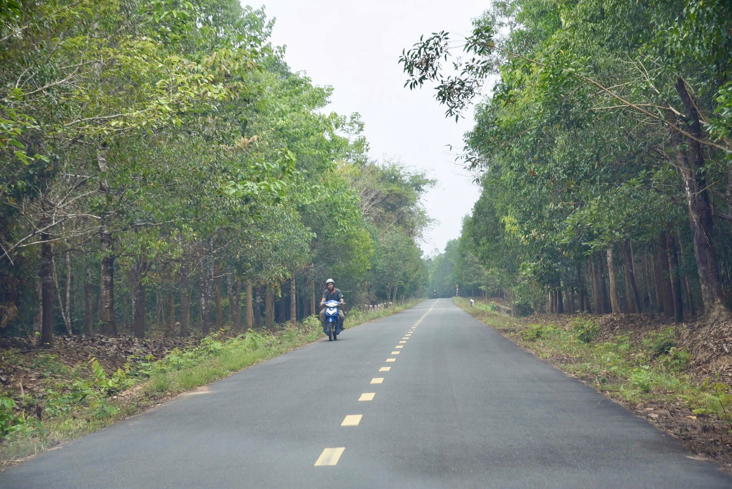 Ph&ecirc; duyệt dự &aacute;n cầu M&atilde; Đ&agrave; hơn 133 tỷ đồng, dự kiến khởi c&ocirc;ng ng&agrave;y 19/8- Ảnh 2.