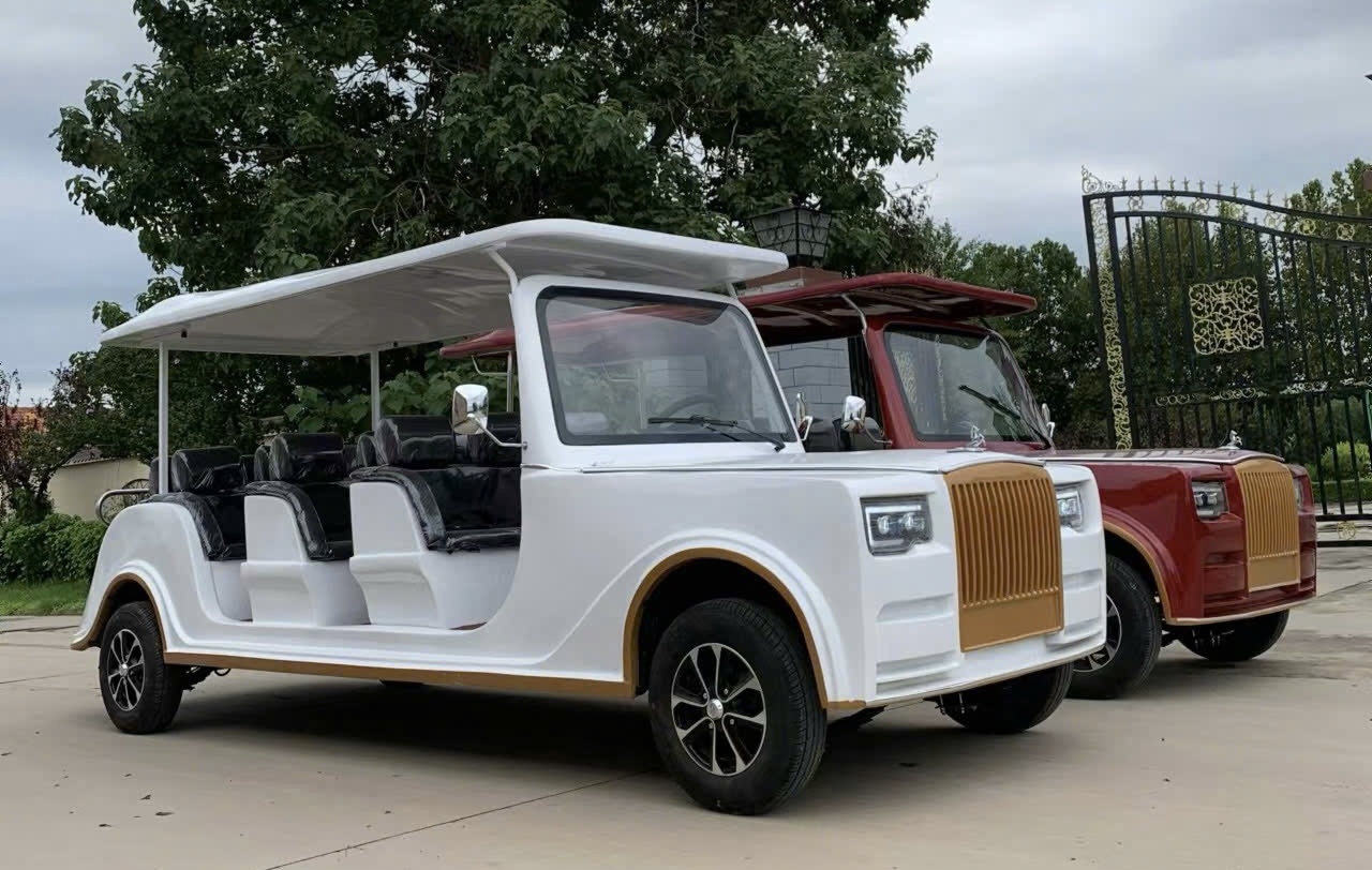 Xe điện du lịch tạm dừng hoạt động: T&agrave;i xế v&agrave; doanh nghiệp lo lắng- Ảnh 5.