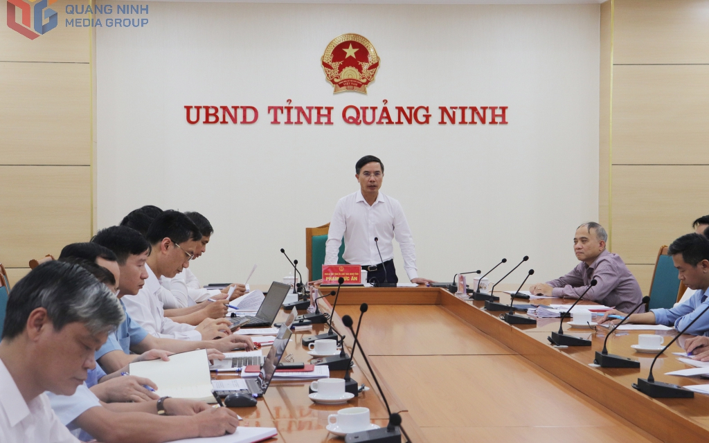 Quảng Ninh xem x&eacute;t lắp hệ thống cảnh b&aacute;o d&ocirc;ng, lốc tr&ecirc;n vịnh Hạ Long, B&aacute;i Tử Long