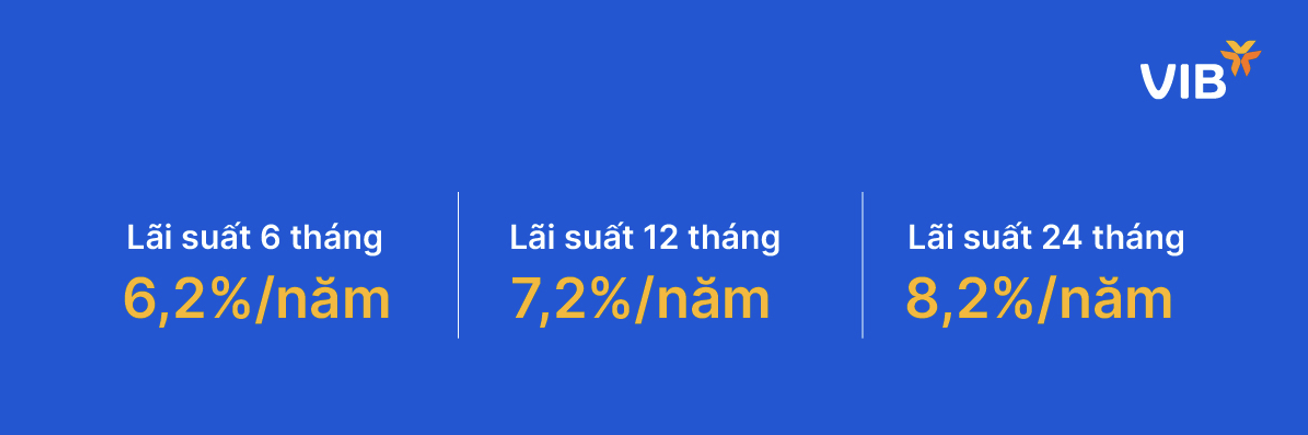 VIB: Vay mua nh&agrave; kh&ocirc;ng c&ograve;n l&agrave; &aacute;p lực, linh hoạt thiết kế g&oacute;i theo nhu cầu- Ảnh 3.