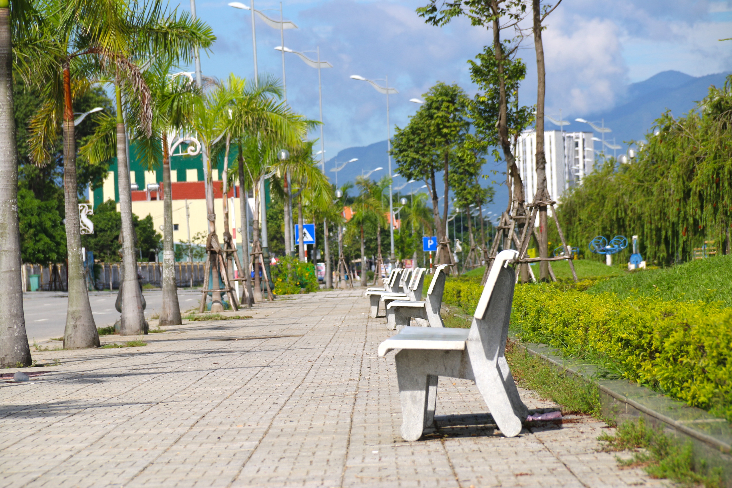 Ngắm hai cung đường đẹp ở Quảng Ng&atilde;i- Ảnh 15.