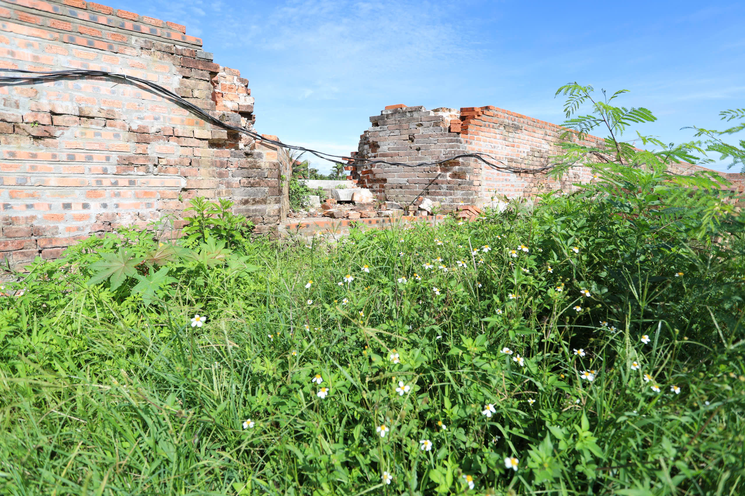 Công nhân kỳ công gỡ từng vỉa đá trùng tu Kinh thành Huế- Ảnh 4. Công nhân kỳ công gỡ từng vỉa đá trùng tu Kinh thành Huế- Ảnh 4.
