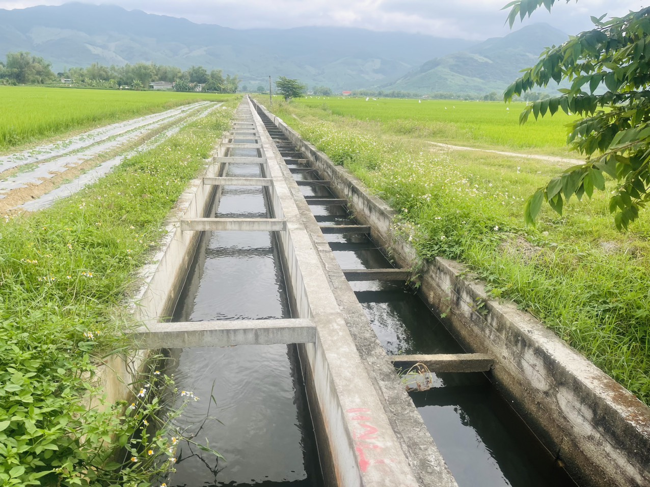 Gia Lai cần khoảng 17.000 tỷ đồng đầu tư hệ thống tưới ti&ecirc;u cơ bản- Ảnh 2.