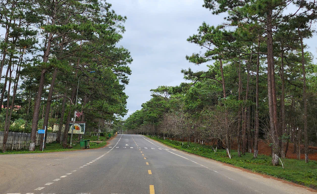 Quảng Ng&atilde;i sẵn s&agrave;ng bắt tay l&agrave;m đường sắt tốc độ cao, s&acirc;n bay- Ảnh 2.