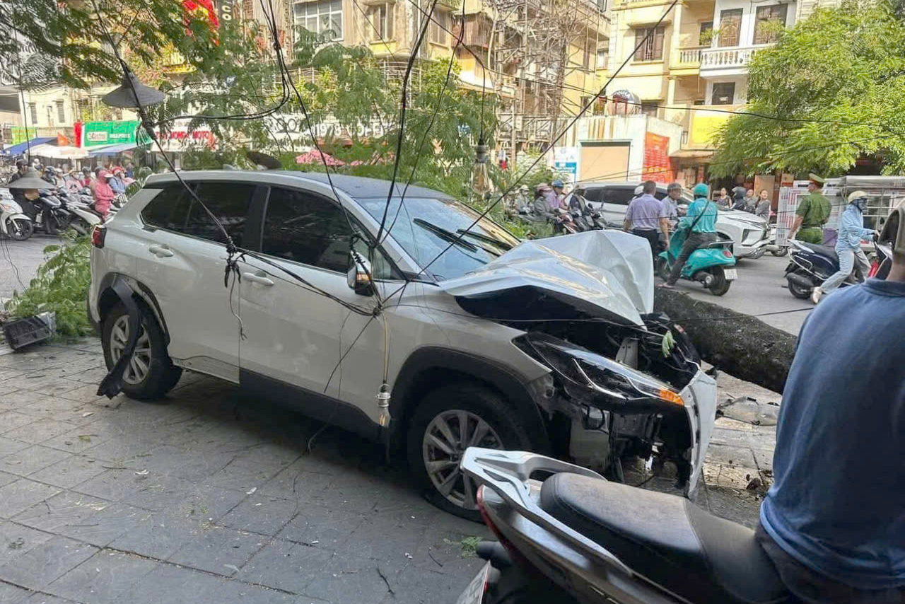 H&agrave; Nội: &Ocirc; t&ocirc; con t&ocirc;ng h&agrave;ng loạt xe m&aacute;y rồi h&uacute;c đổ c&acirc;y xanh, nhiều người bị thương- Ảnh 1.